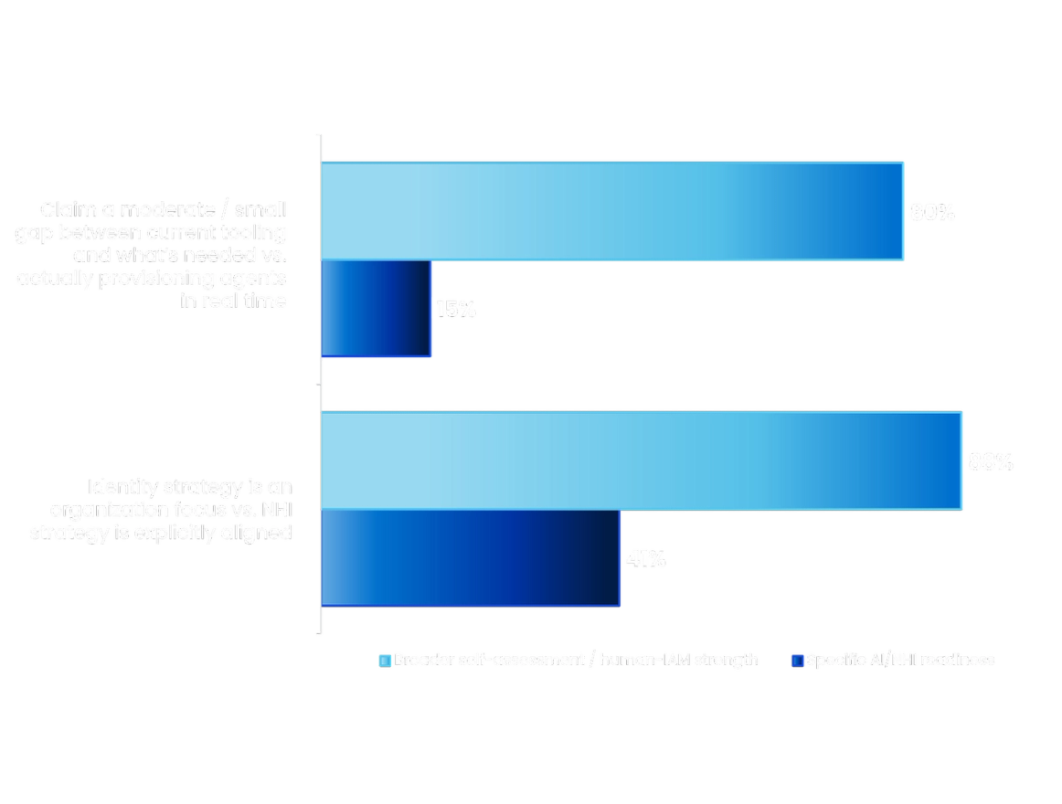 Bar chart contrasting perceived tooling gaps with proven identity-strategy readiness