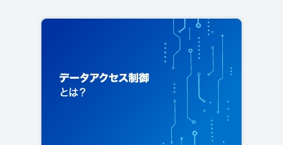 SailPoint 用語集:データアクセス制御