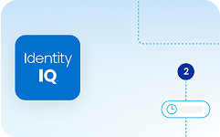 identity IQ