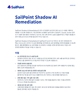 Shadow AI Remediation