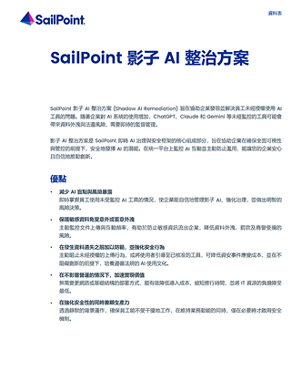 影子 AI 整治