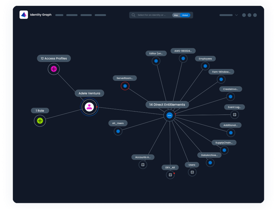 Identity Graph showing a user's access profiles and direct entitlements