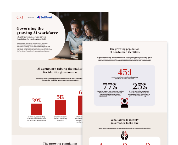 CIO.com infographic artwork: Governing the growing AI workforce