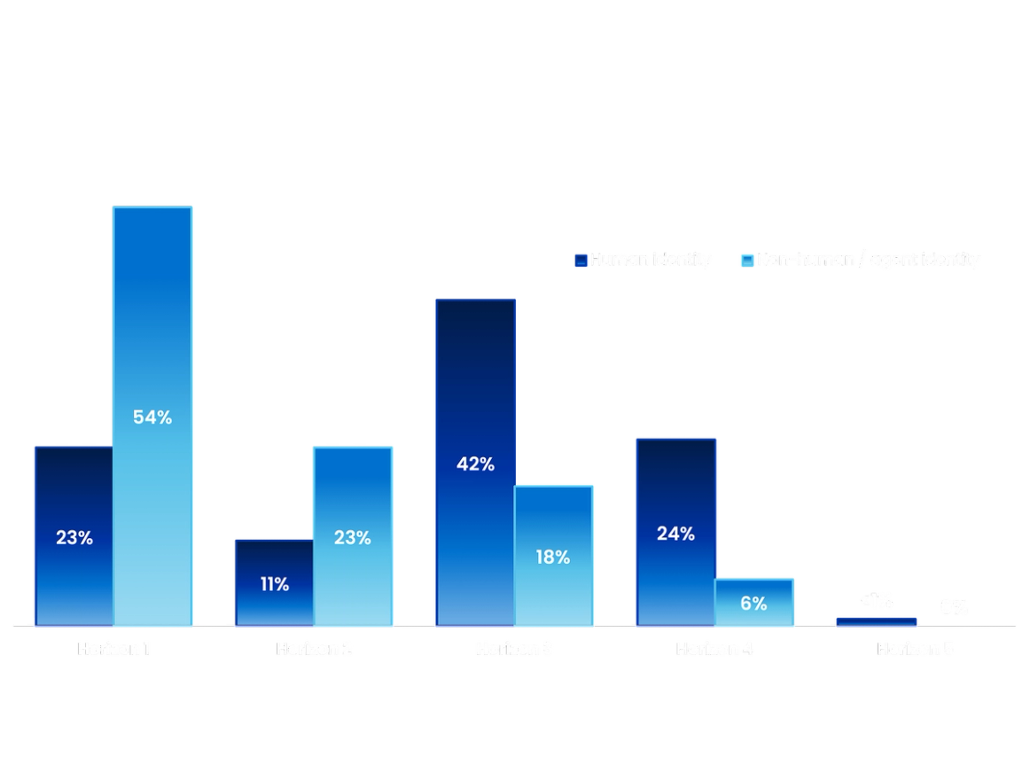 Bar chart of human identity versus non-human identity maturity across five horizons