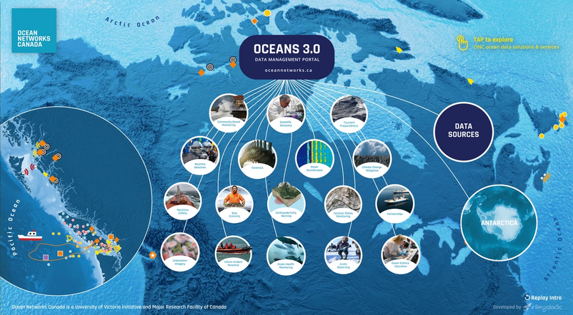 Bubbles Experience Main Interface