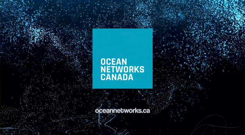 Standby Mode Animation on Bubbles Experience