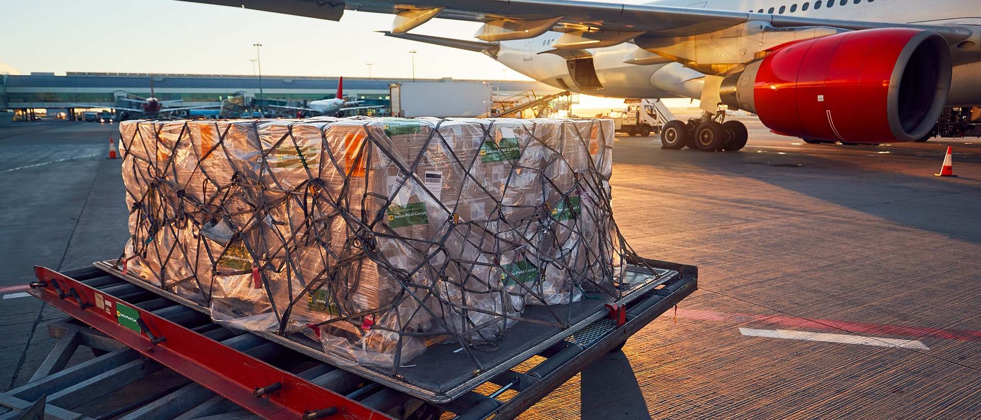 Une remorque remplie de colis devant un avion
