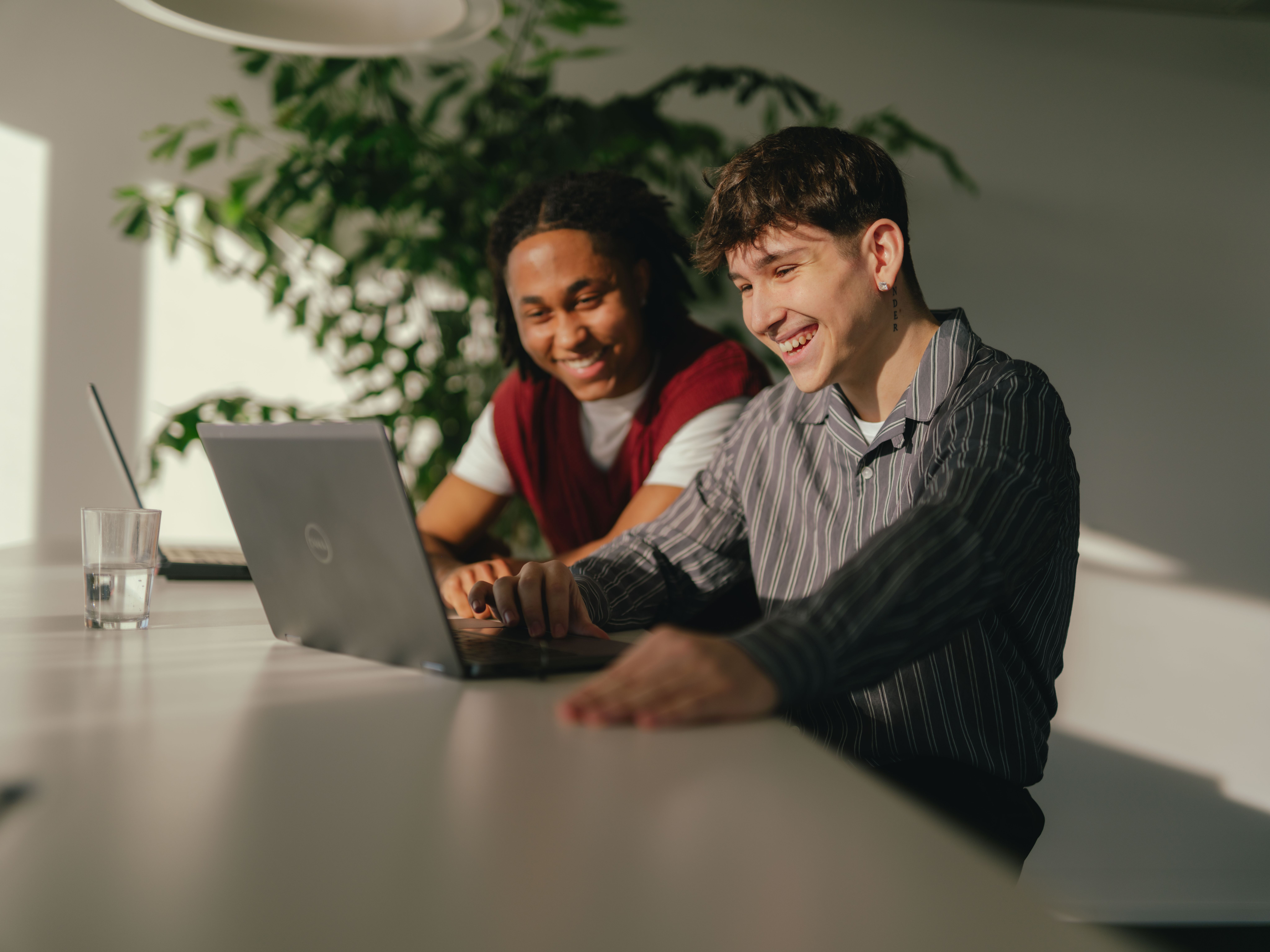 Two people are seated at a long table in a bright room, working together on a laptop. Another person is visible in the background using a second laptop. A glass of water is placed on the table, and a large green plant is visible behind them.