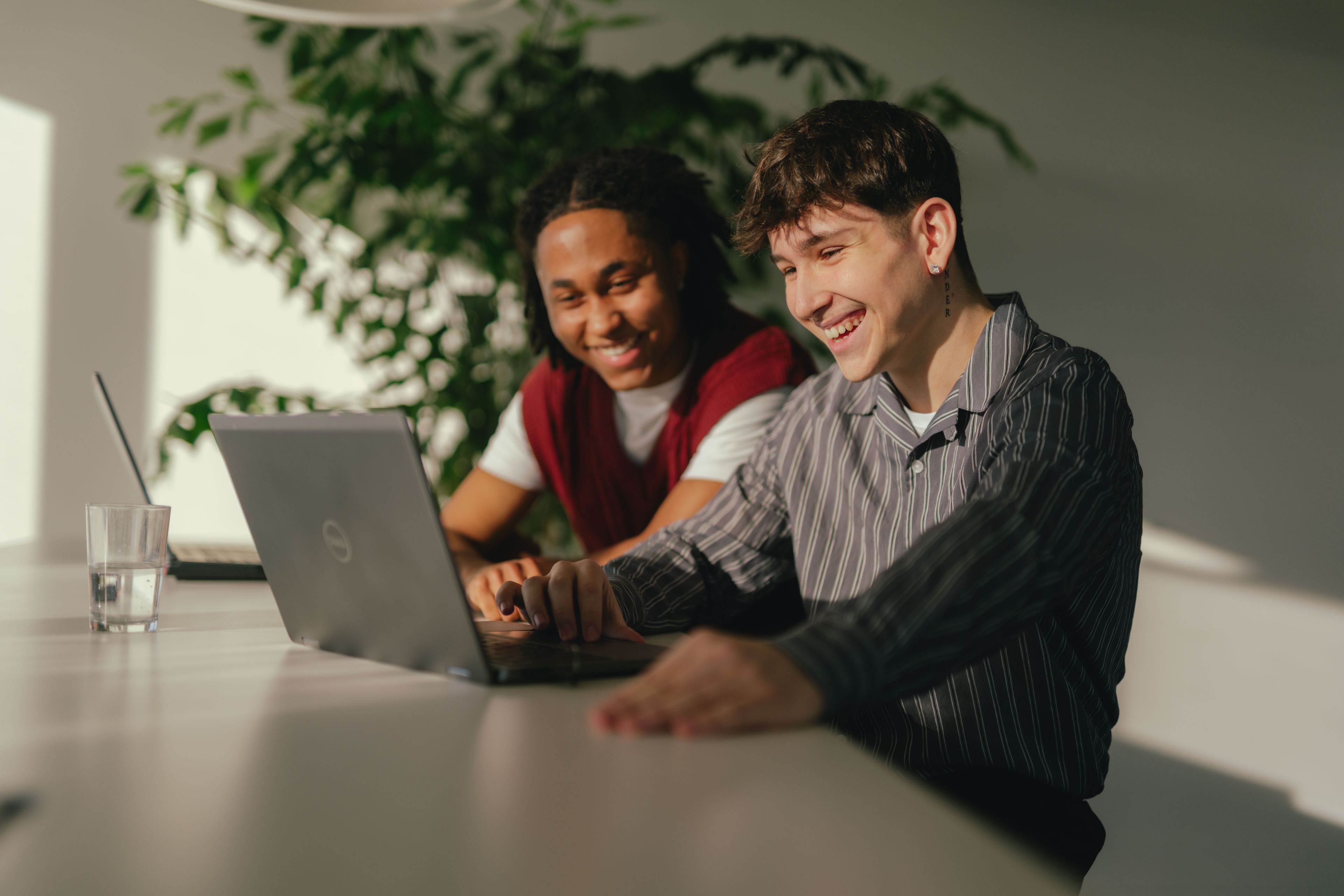 Two people are seated at a long table in a bright room, working together on a laptop. Another person is visible in the background using a second laptop. A glass of water is placed on the table, and a large green plant is visible behind them.