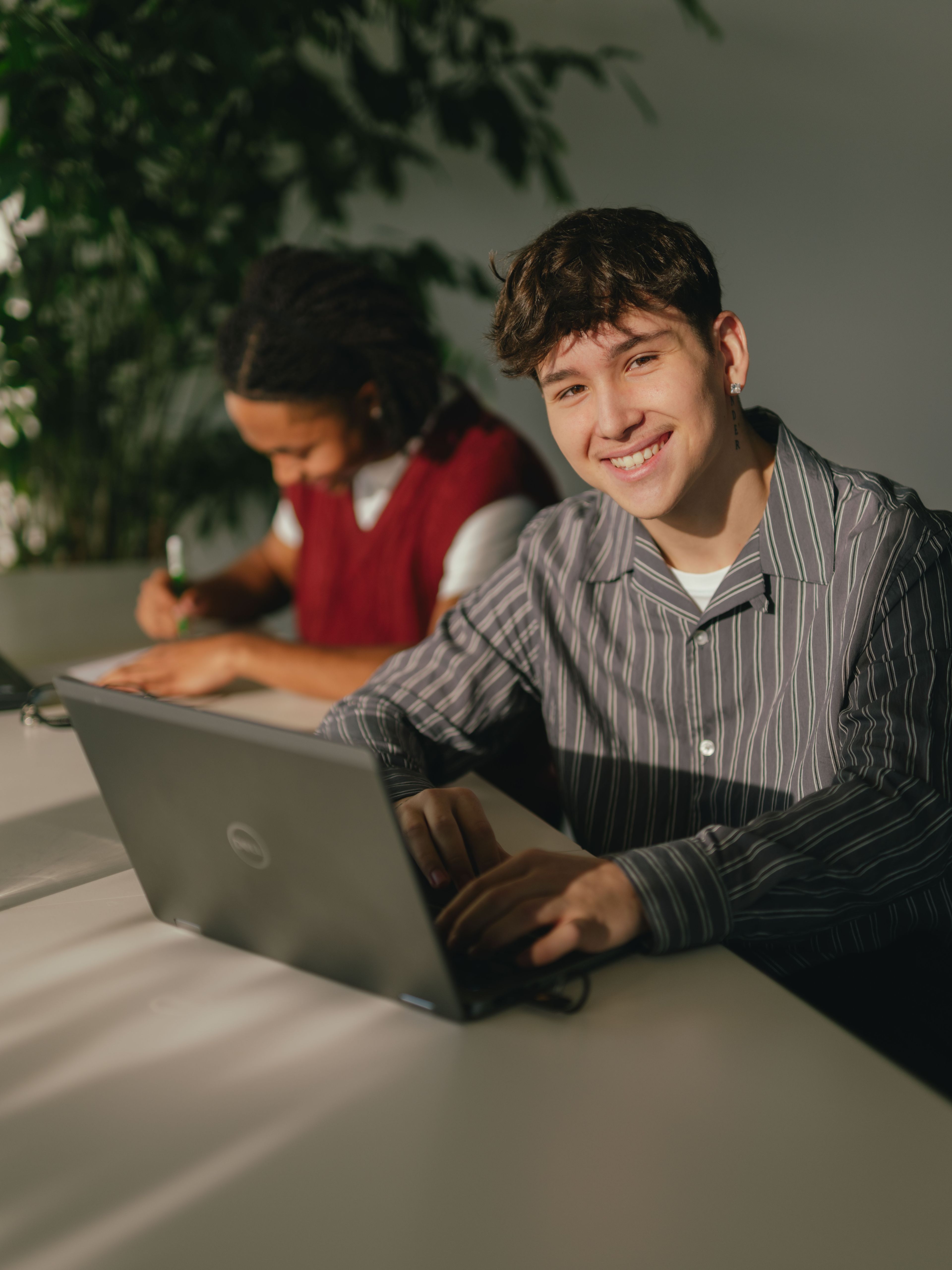 Zwei Personen sitzen an einem langen Tisch und arbeiten jeweils an einem Laptop. Die Person im Vordergrund trägt ein gestreiftes Oberteil und nutzt ein silberfarbenes Laptopgerät. Daneben steht ein Glas Wasser. Hinter dieser Person sitzt eine weitere Person an einem schwarzen Laptop. Im Hintergrund steht eine grosse grüne Pflanze, und Sonnenlicht fällt schräg in den Raum und erzeugt klare Schattenmuster auf Tisch und Wand.