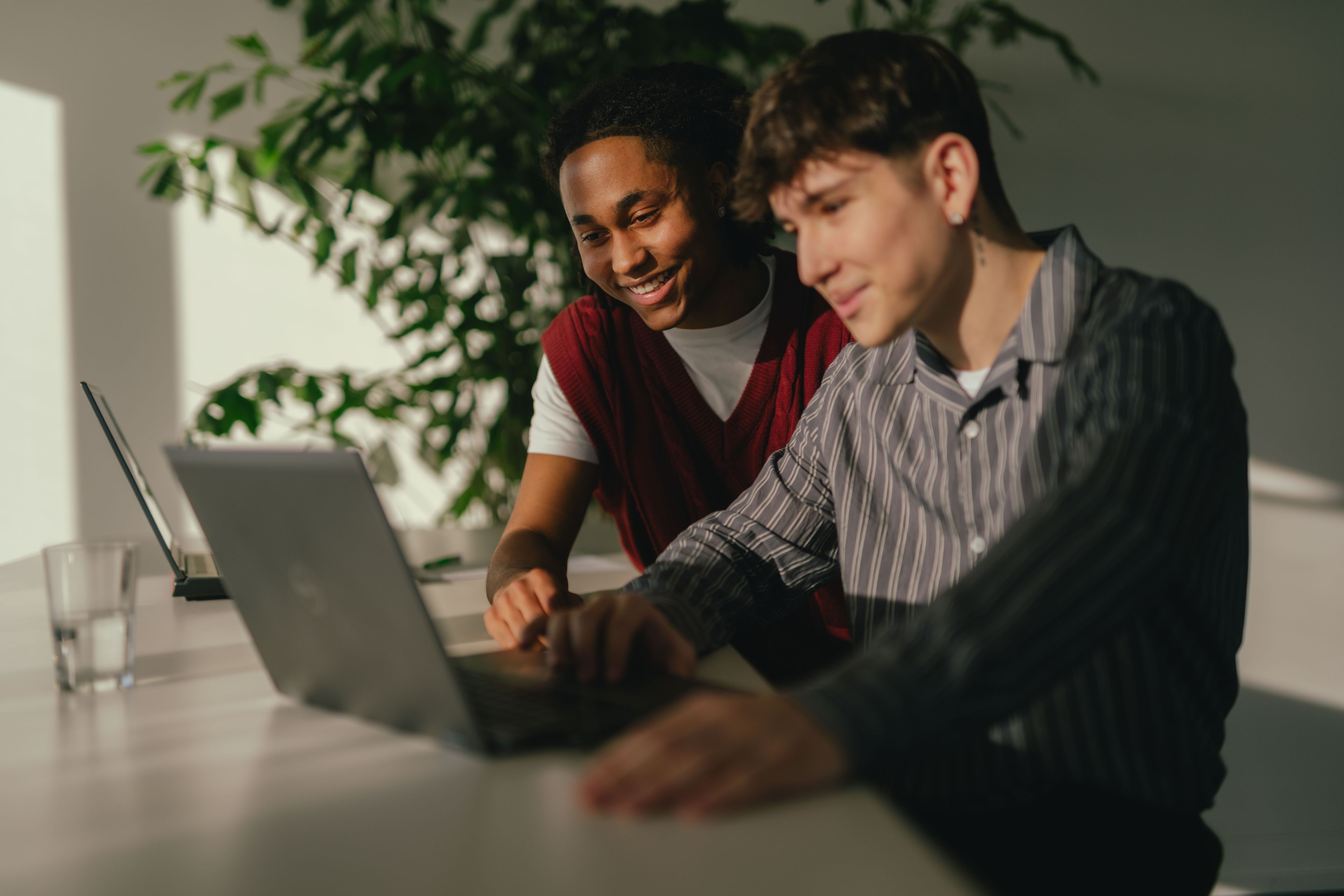 Zwei Personen sitzen nebeneinander an einem Tisch und arbeiten gemeinsam an einem Laptop. Eine Person bedient die Tastatur, während die andere sich leicht vorbeugt und auf den Bildschirm schaut. Im Hintergrund steht eine grosse Pflanze, und Sonnenlicht fällt seitlich in den Raum.