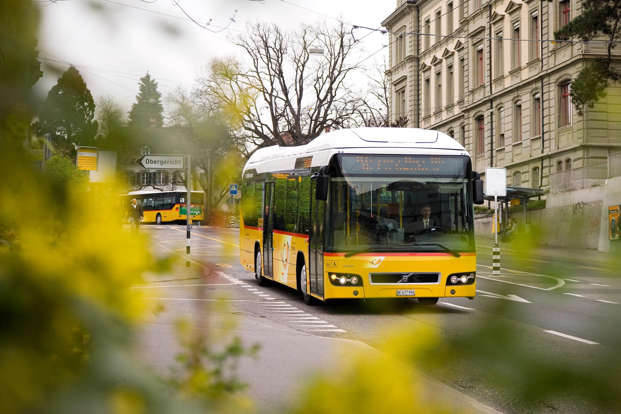 Gelber Postbus auf Stadtstraße mit historischen Gebäuden und gelben Blumen im Vordergrund