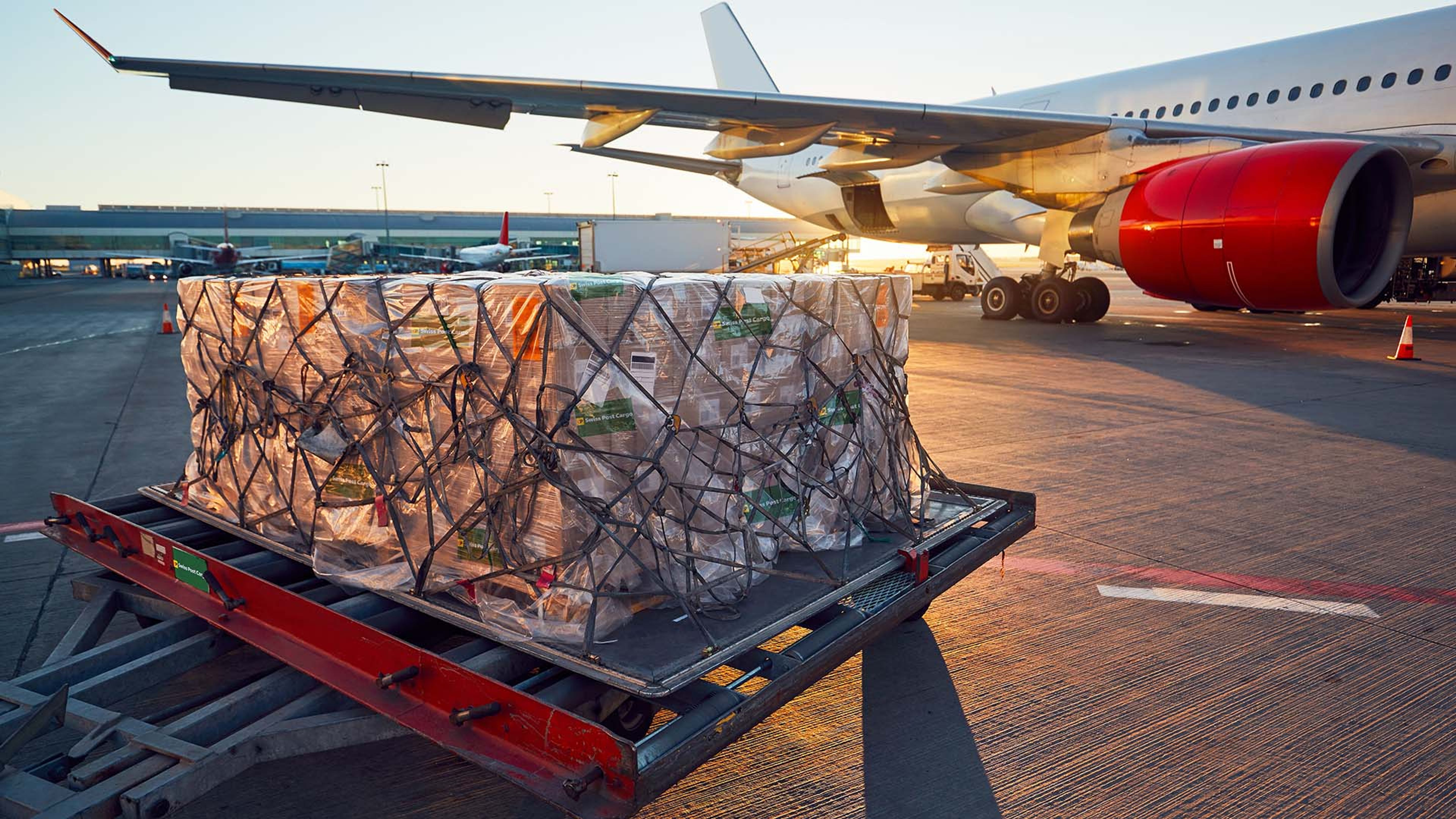 Le fret aérien se tient devant l’avion à l’arrêt