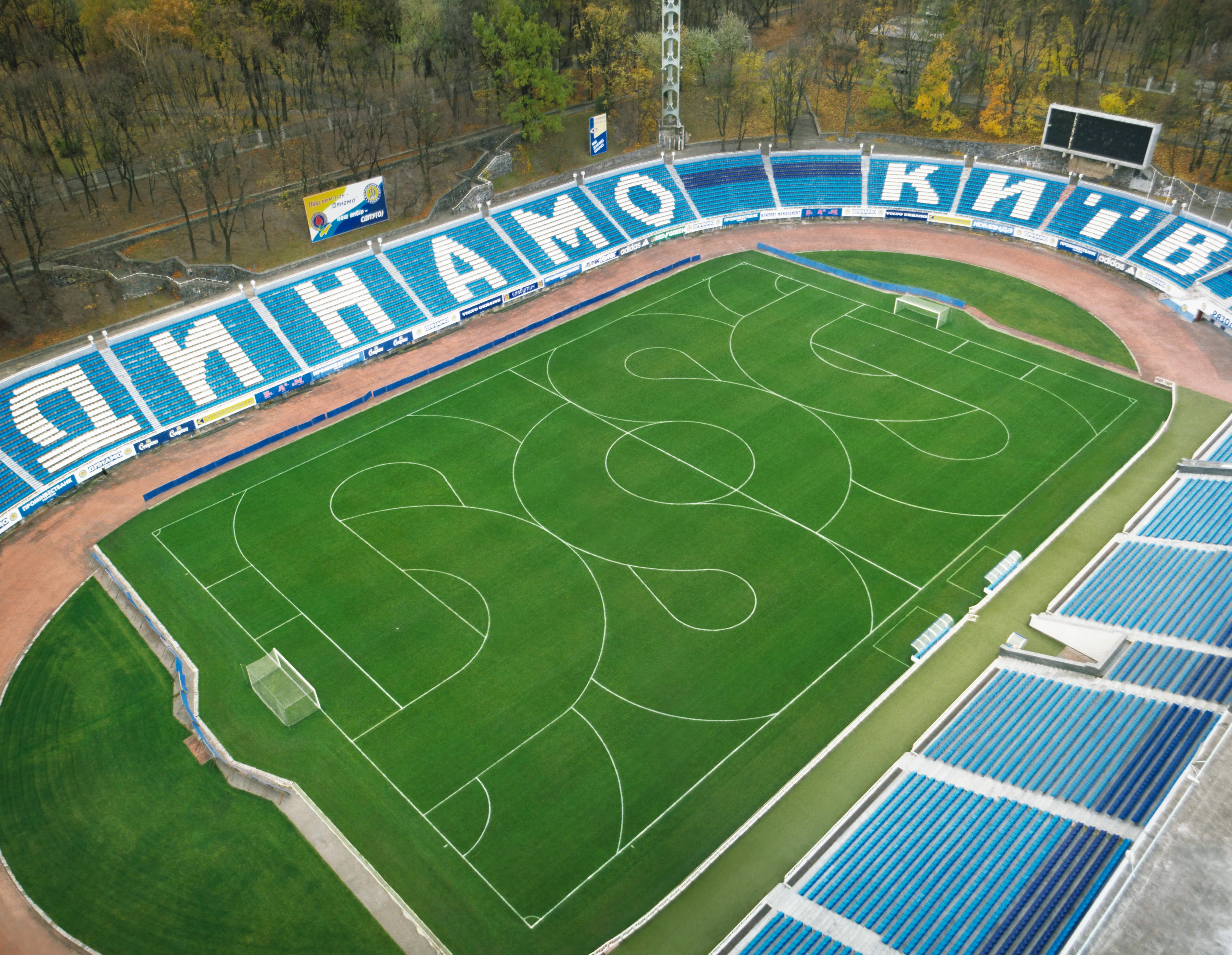 Ein Fussballstadion mit gemähten Linien auf dem Feld, leeren blauen Tribünen und umliegendem Wald ist zu sehen.