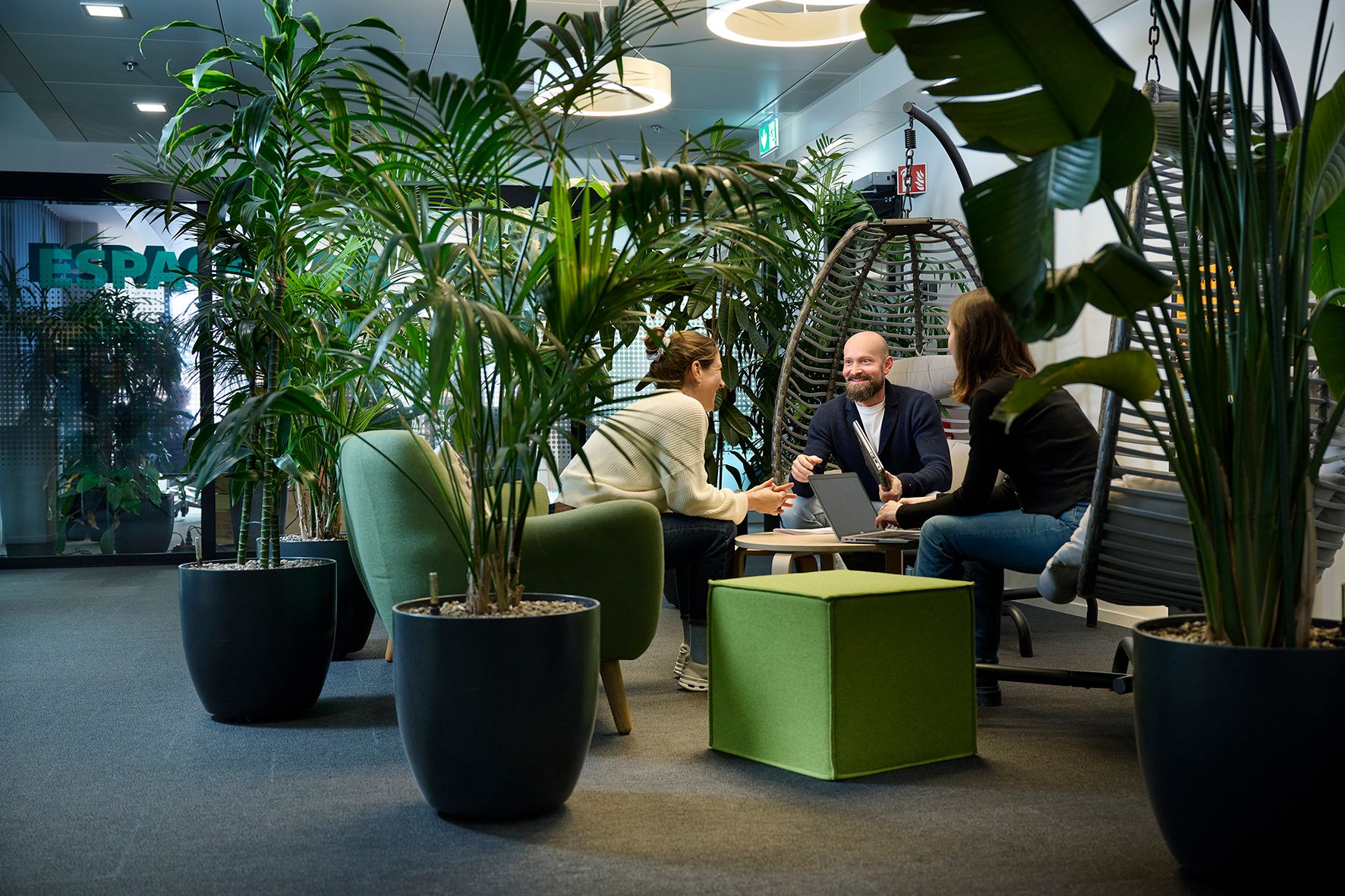 Drei Personen sitzen in einem modernen, mit Pflanzen dekorierten Büro.