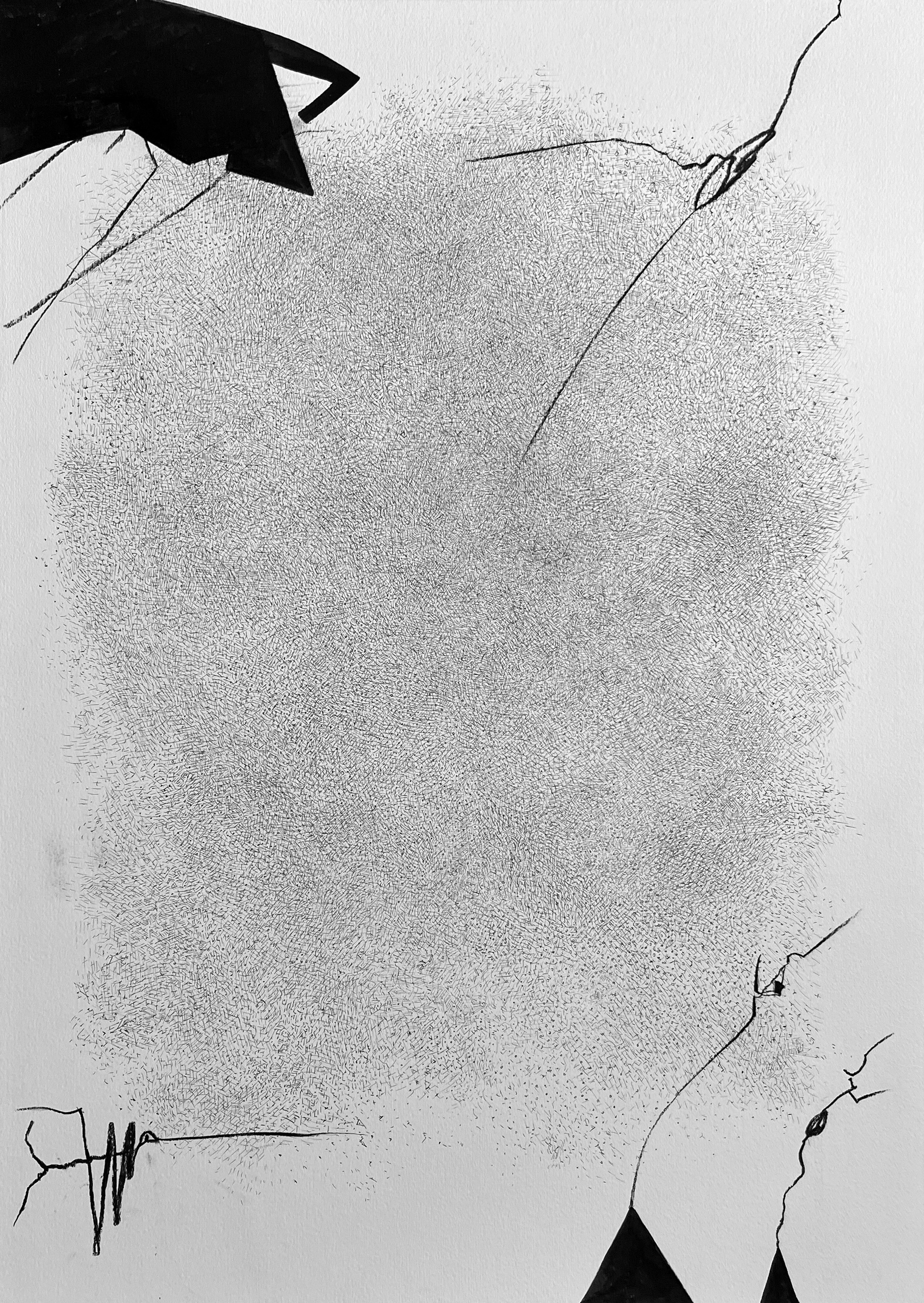 Abstract black and white shapes with lines on a white background.