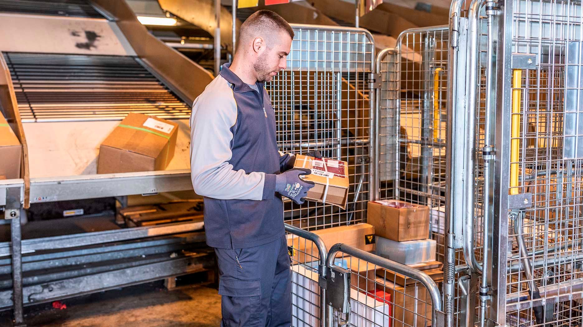 Ein man sortiert manuel ein Paket und legt es in einen Rollbehälter
