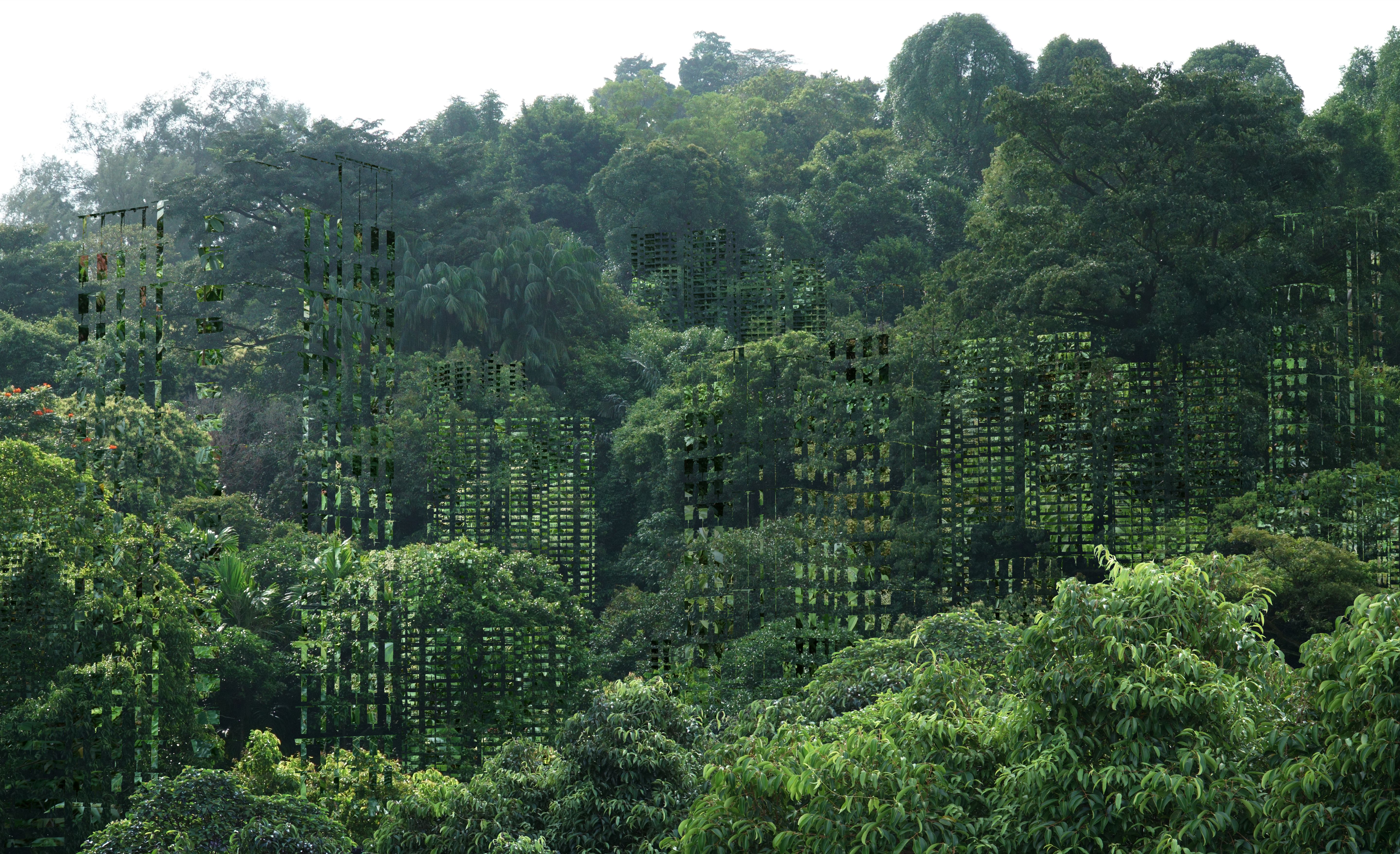 Dense green vegetation with shadowy architectural shapes.