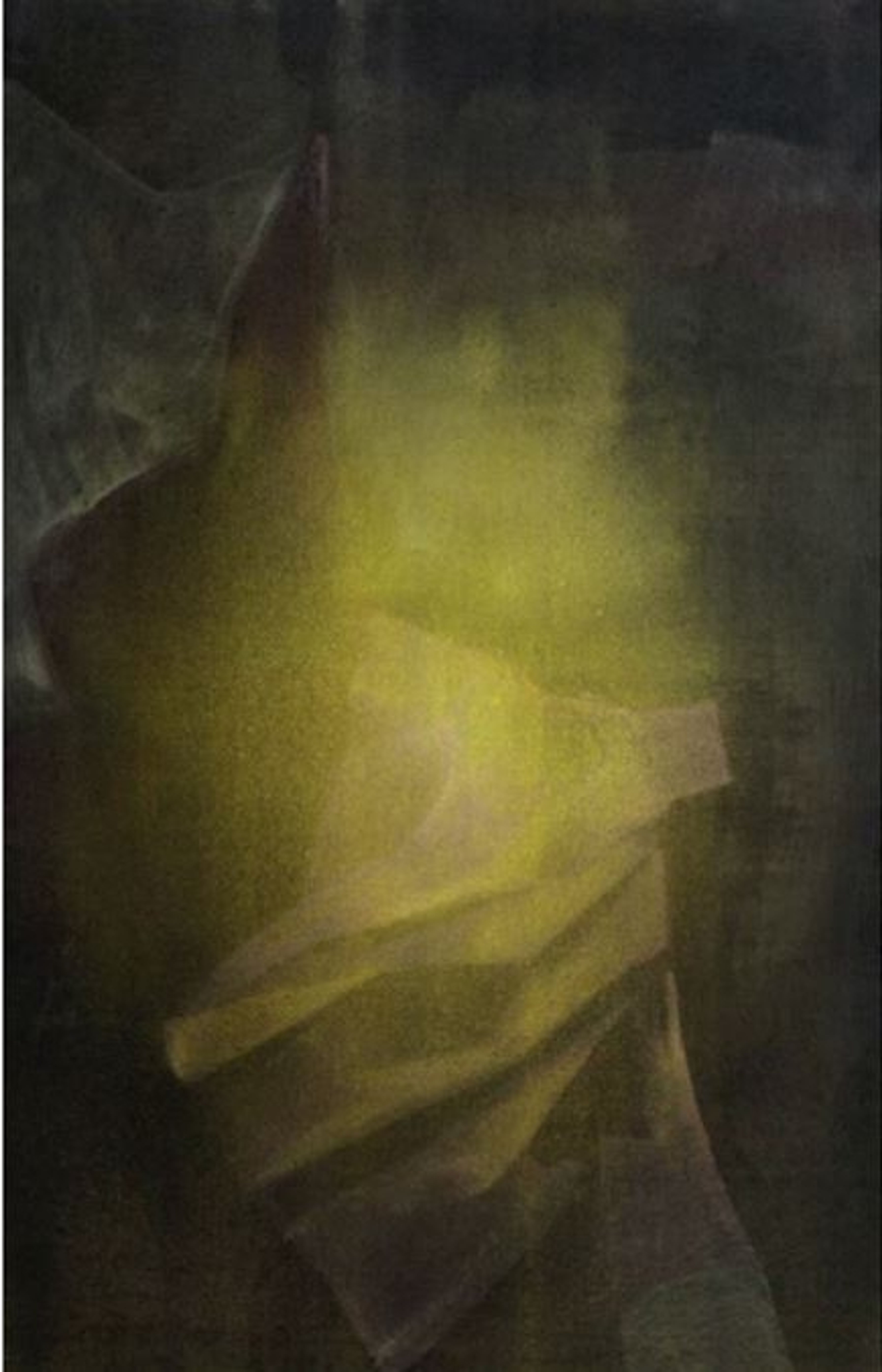 Abstract painting with dark background and yellow-green folded fabric shapes in center.