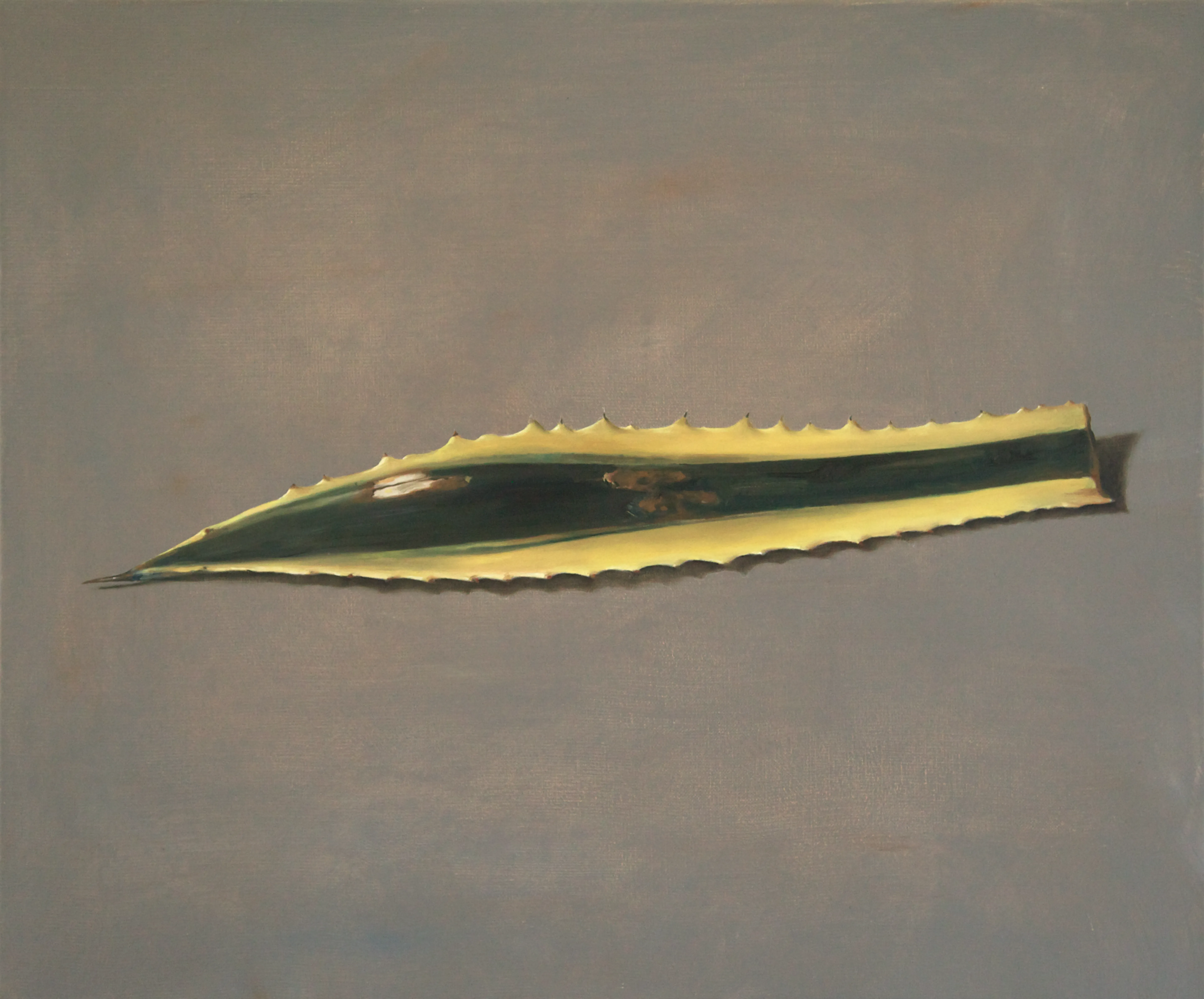 A grey, oval shape with a blue eye on a green background.