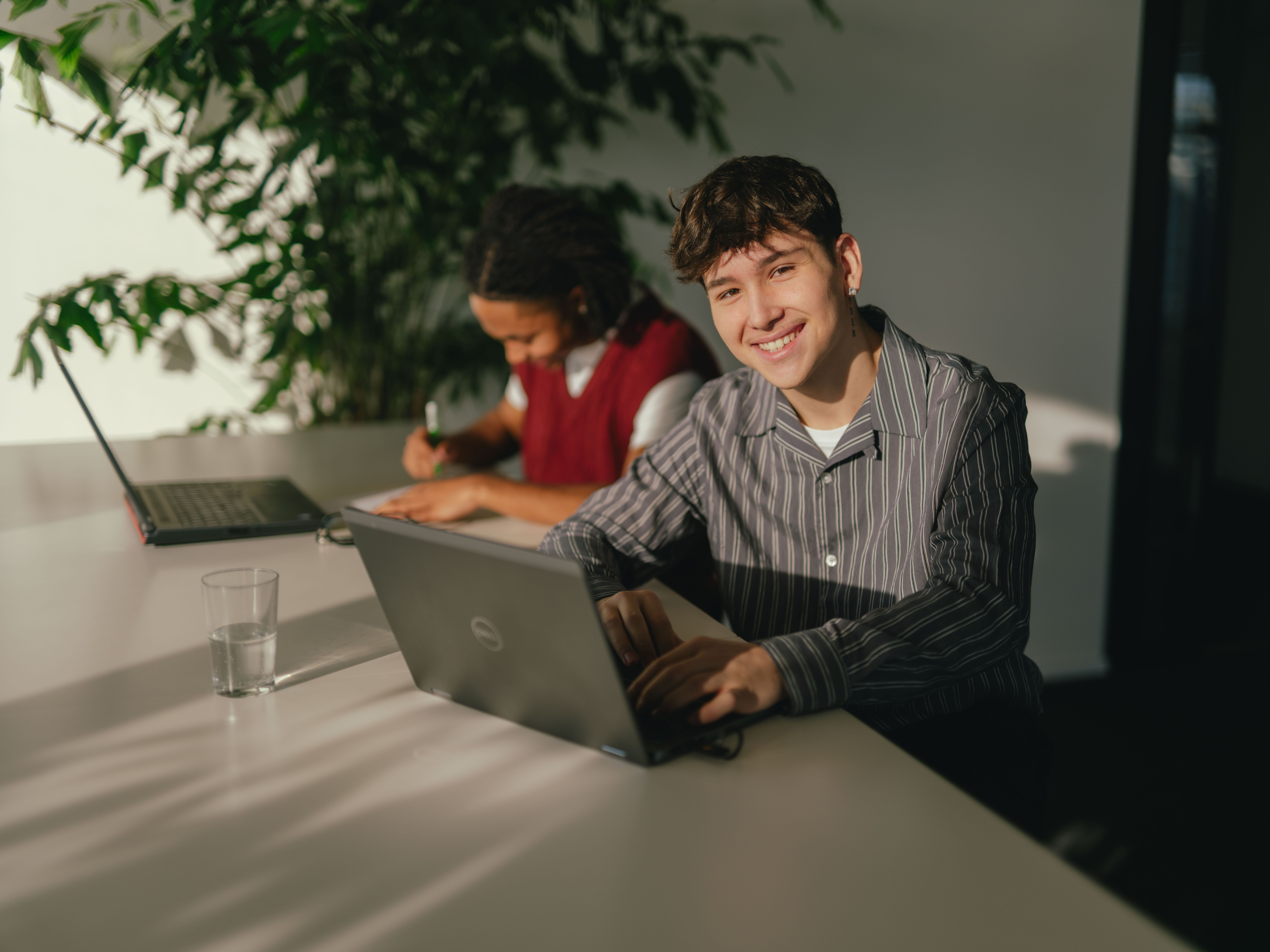 Two people are sitting at a long table, each working on a laptop. The person in the foreground wears a striped top and uses a silver laptop. Next to it is a glass of water. Behind this person is another person sitting in front of a black laptop. In the background is a large green plant, and sunlight falls obliquely into the room, creating clear shadow patterns on the table and wall.