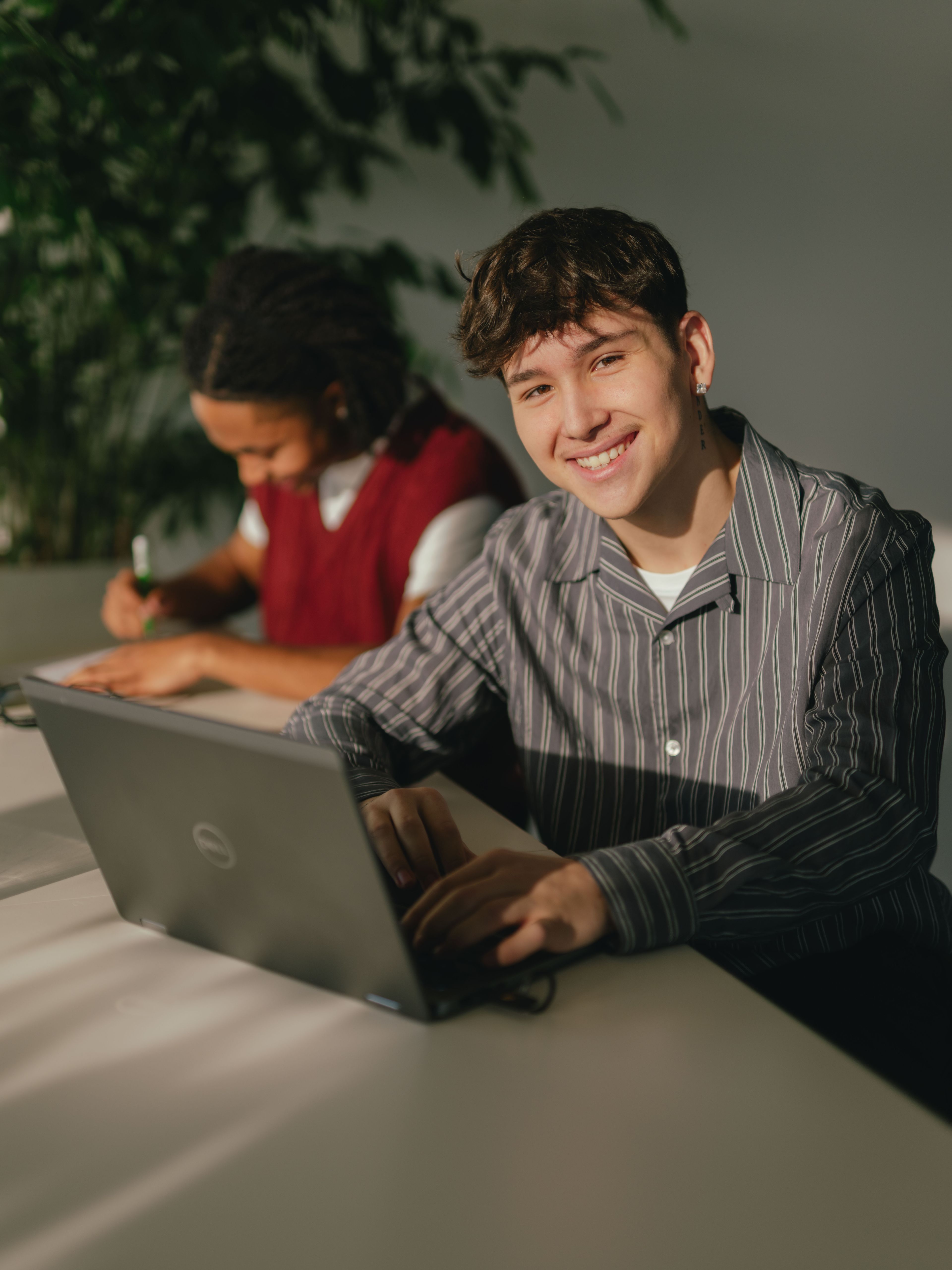 Two people are sitting at a long table, each working on a laptop. The person in the foreground wears a striped top and uses a silver laptop. Next to it is a glass of water. Behind this person is another person sitting in front of a black laptop. In the background is a large green plant, and sunlight falls obliquely into the room, creating clear shadow patterns on the table and wall.
