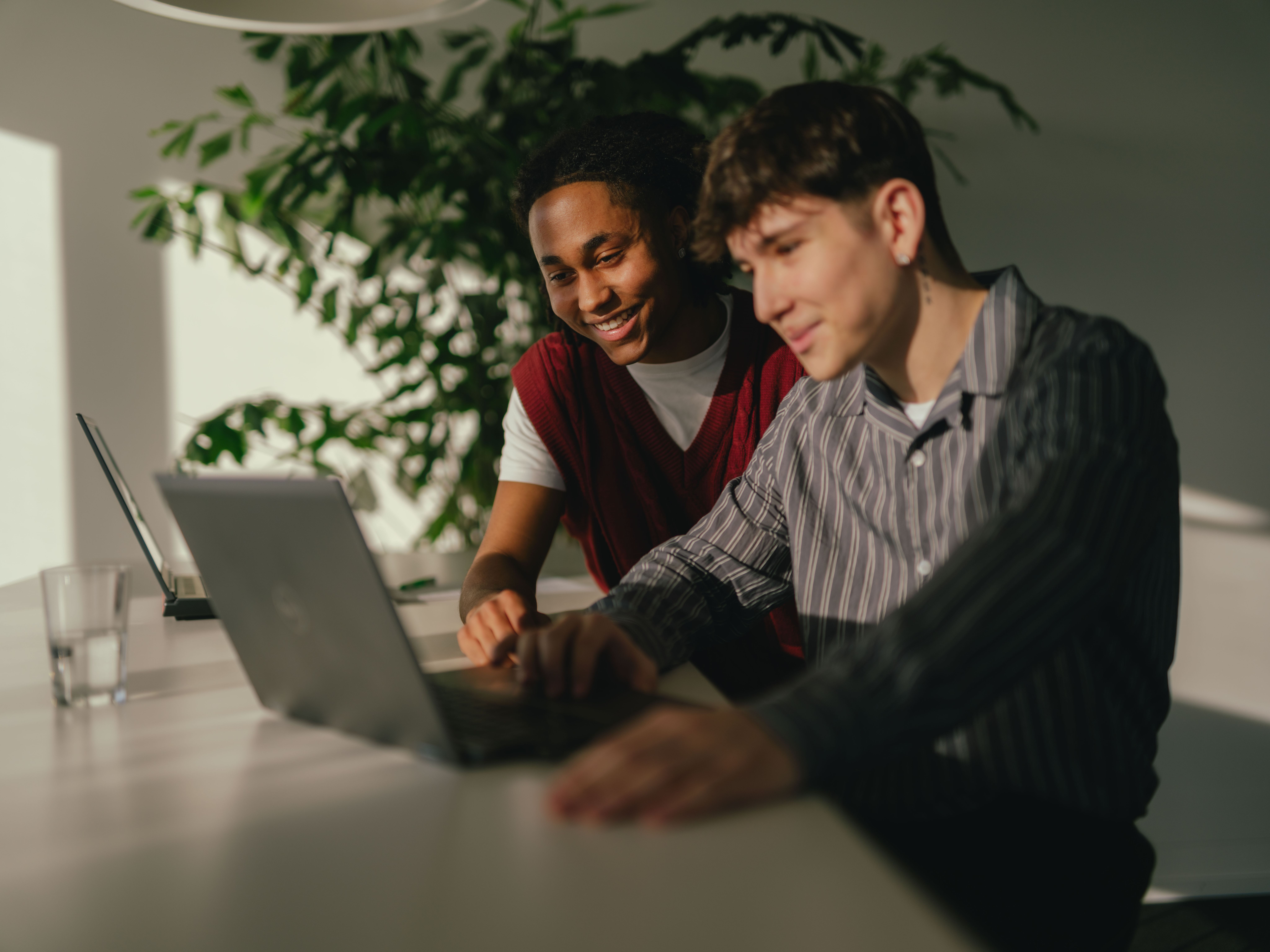 Zwei Personen sitzen an einem Tisch und arbeiten gemeinsam an einem Laptop. Eine der Personen zeigt mit einer Hand auf den Bildschirm, während die andere Person direkt vor dem Gerät sitzt. Auf dem Tisch stehen zwei Gläser mit Wasser. Im Hintergrund ist eine grosse grüne Pflanze sichtbar, und durch das Seitenlicht entstehen deutliche Schatten.