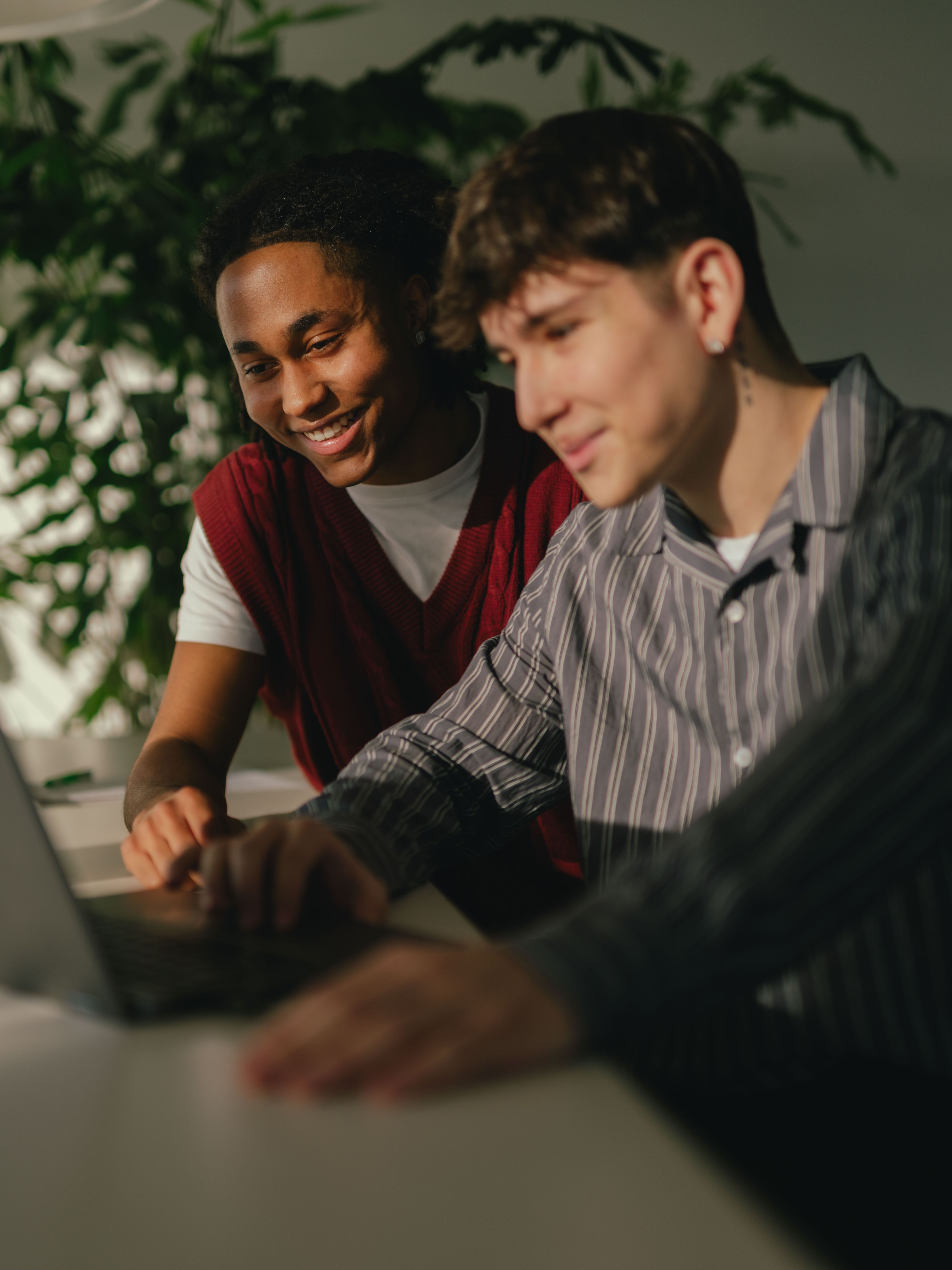 Zwei Personen sitzen an einem Tisch und arbeiten gemeinsam an einem Laptop. Eine der Personen zeigt mit einer Hand auf den Bildschirm, während die andere Person direkt vor dem Gerät sitzt. Auf dem Tisch stehen zwei Gläser mit Wasser. Im Hintergrund ist eine grosse grüne Pflanze sichtbar, und durch das Seitenlicht entstehen deutliche Schatten.