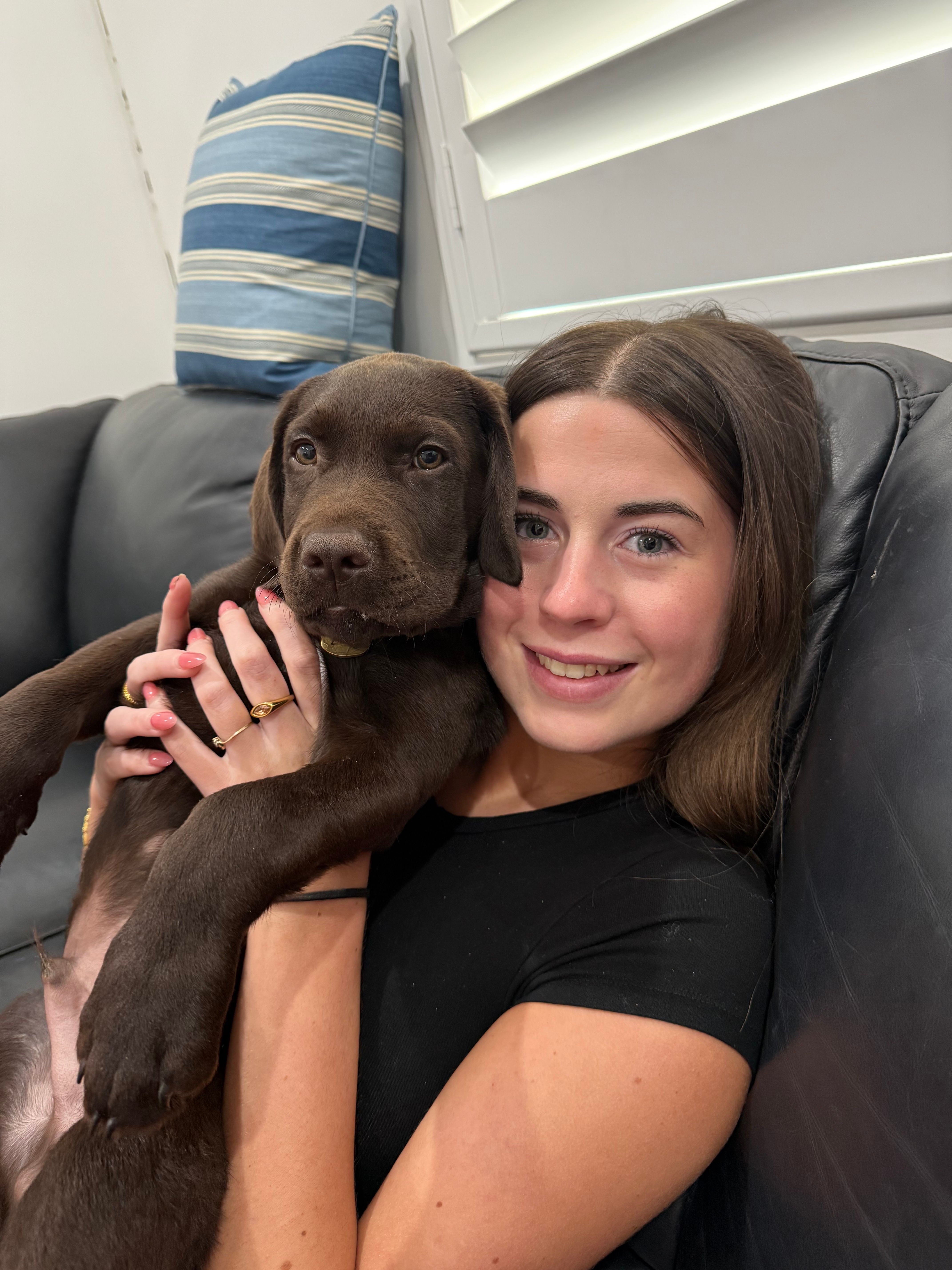 Ava