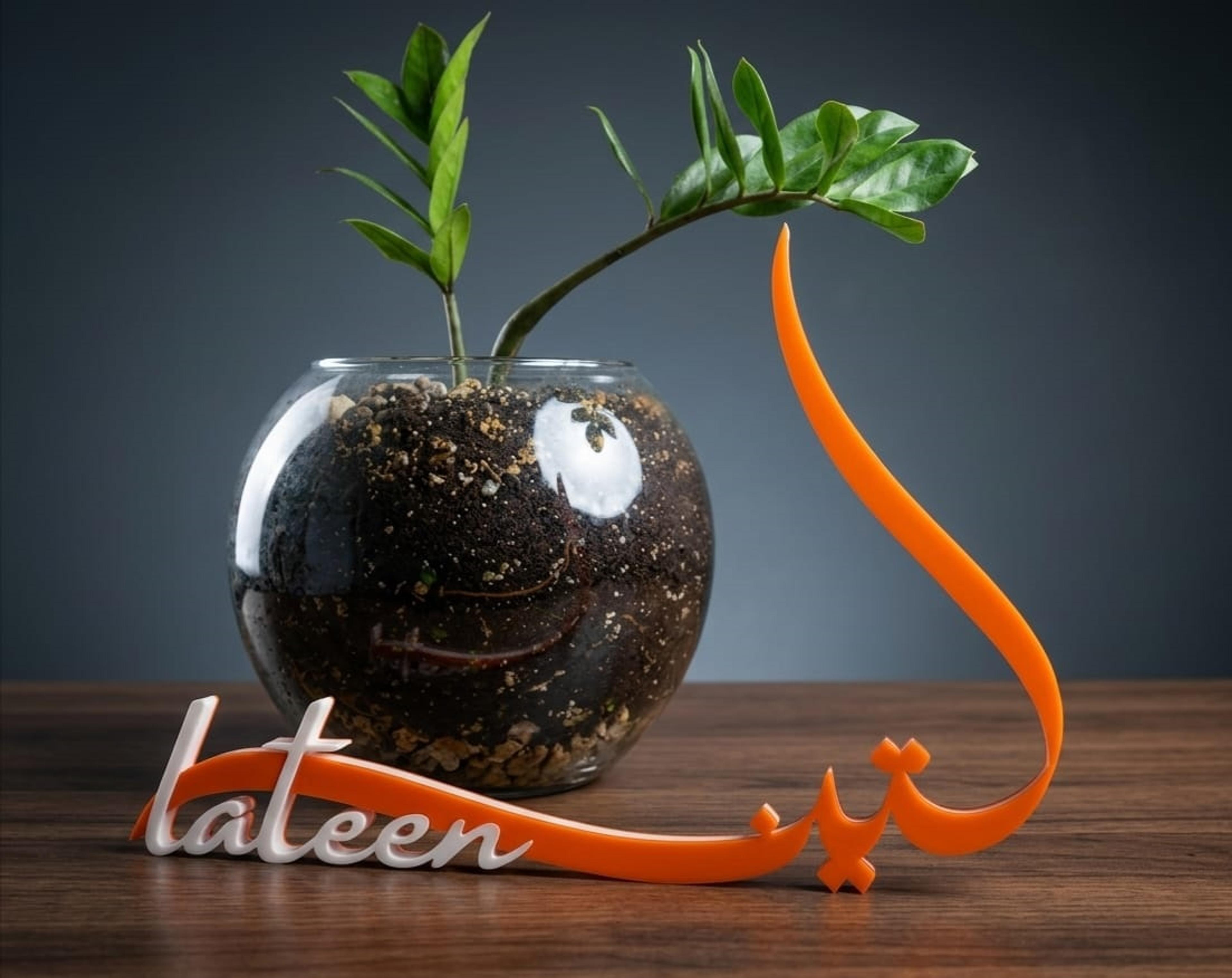 اسم ثلاثي الابعاد