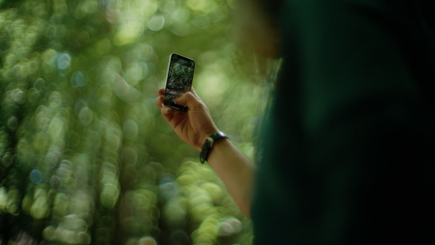 phone taking photo trees
