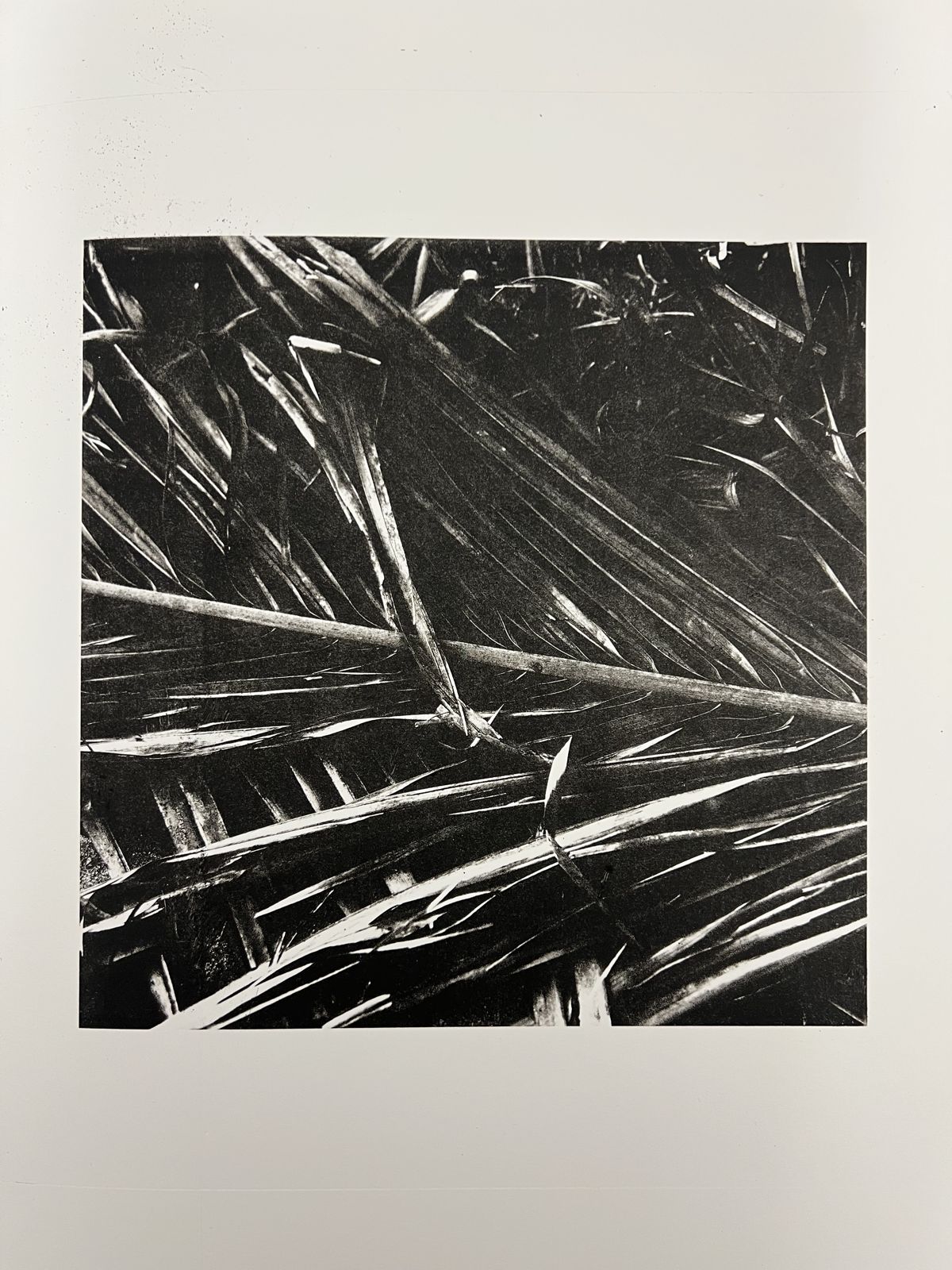 untitled 04, print