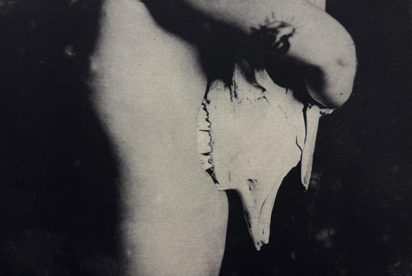 untitled 12, print