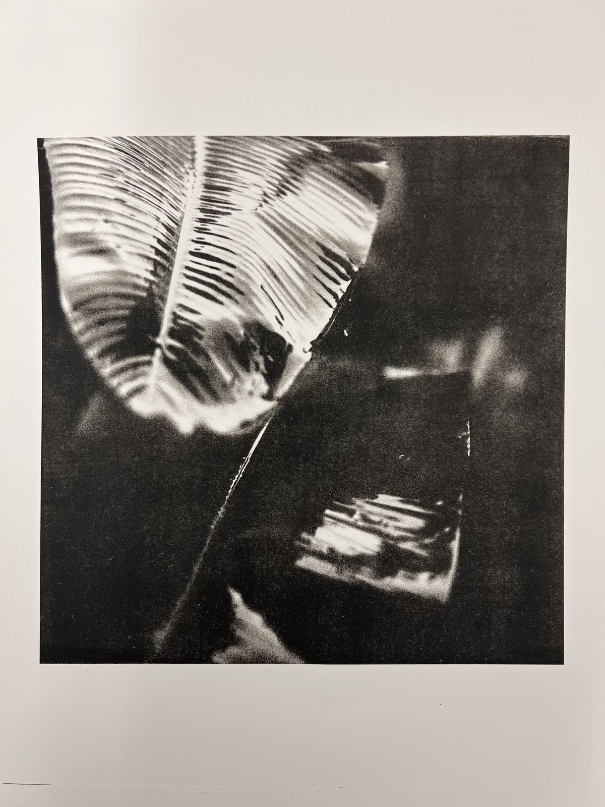 untitled 03, print