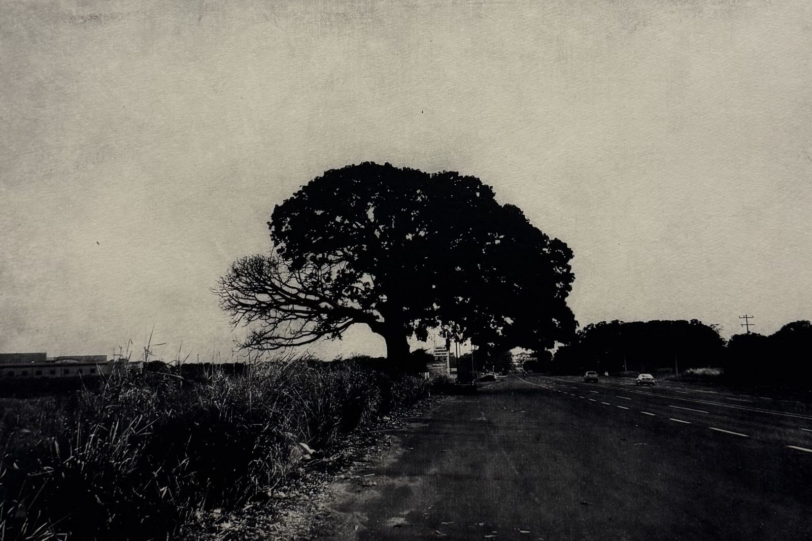 untitled 06, print