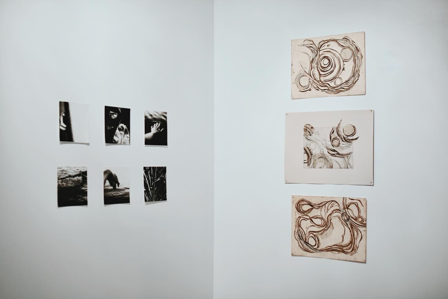 Threshold · SNAP Gallery