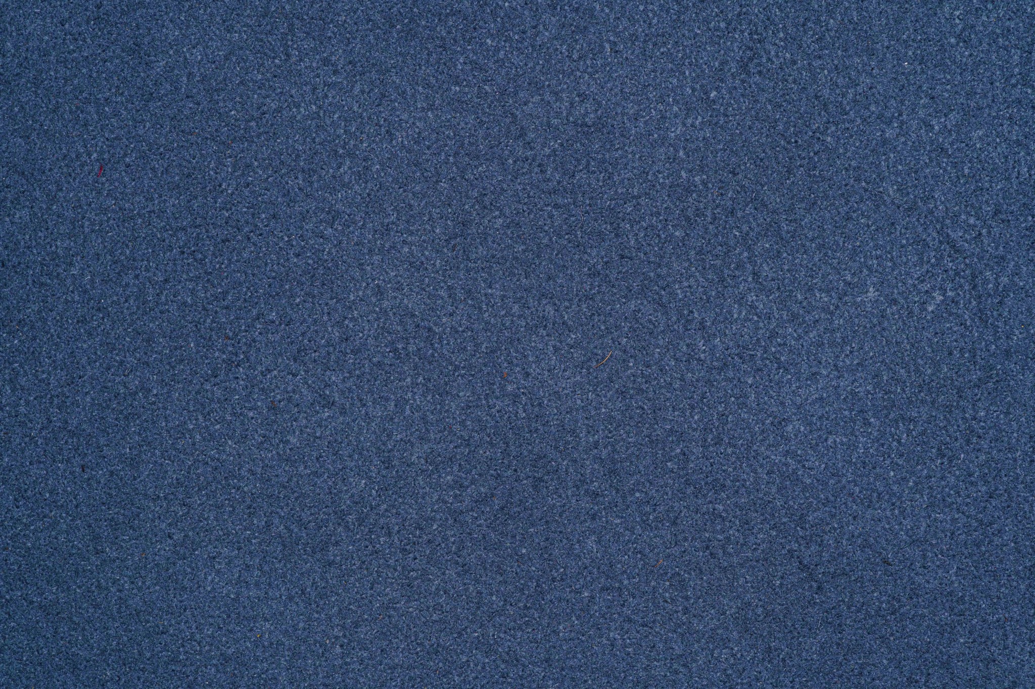 SUEDE