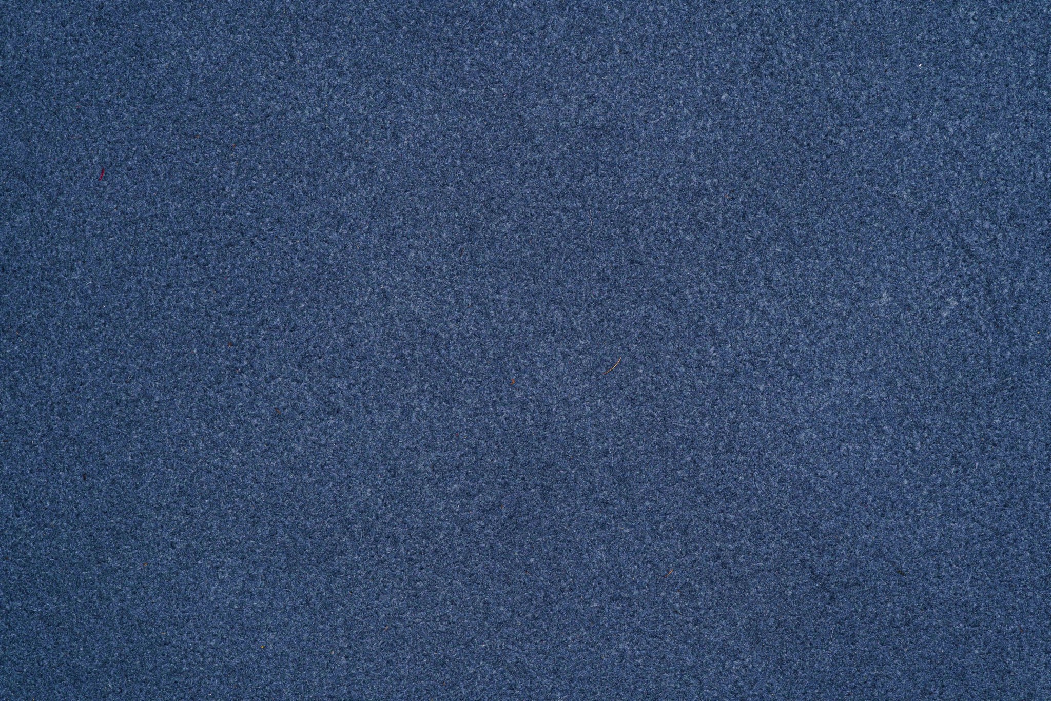 SUEDE