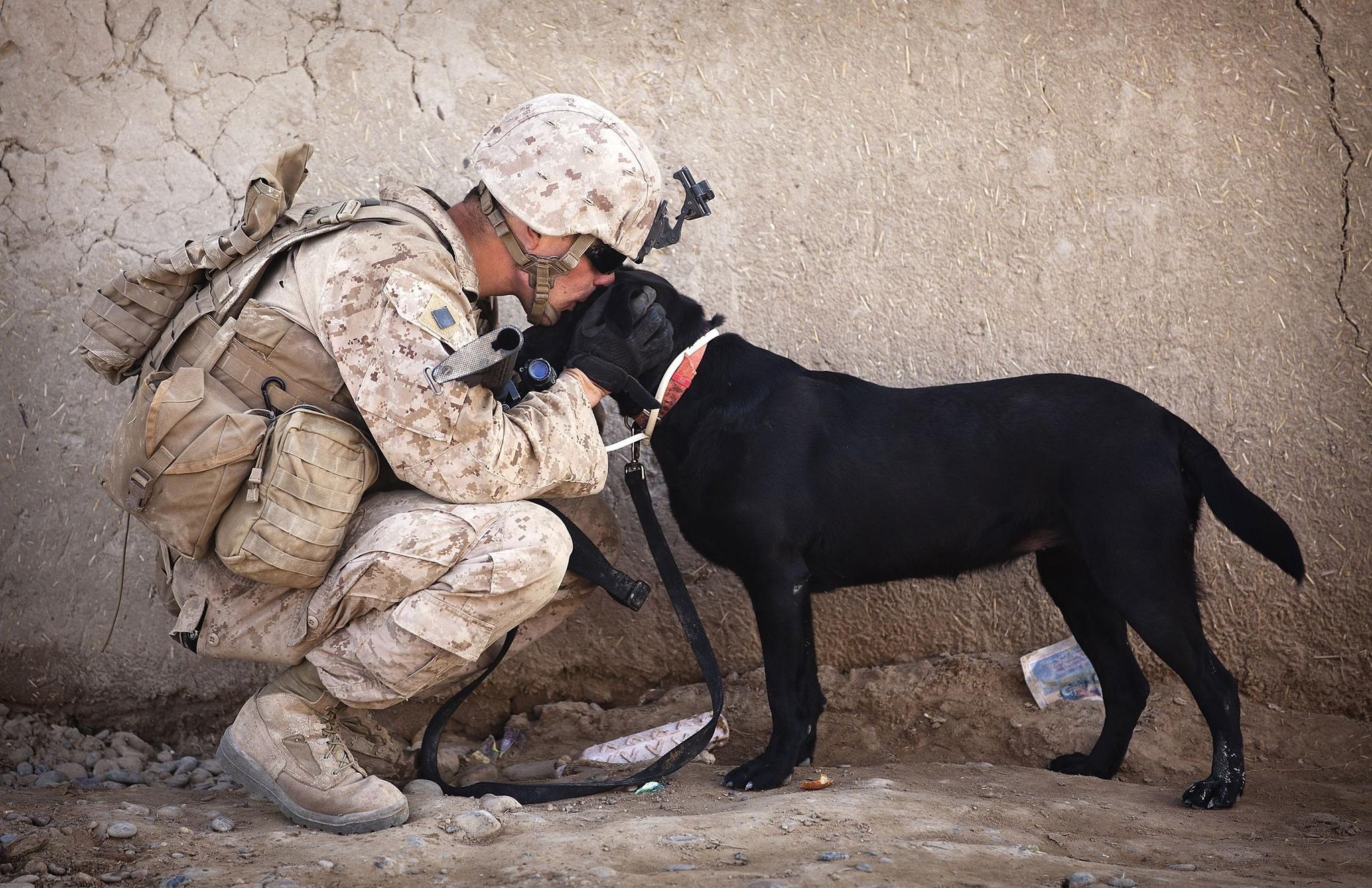Soldat mit Lederschuhen küsst seinen Hund