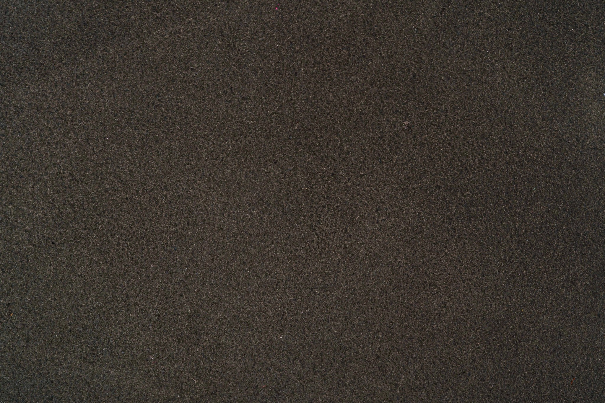 SUEDE