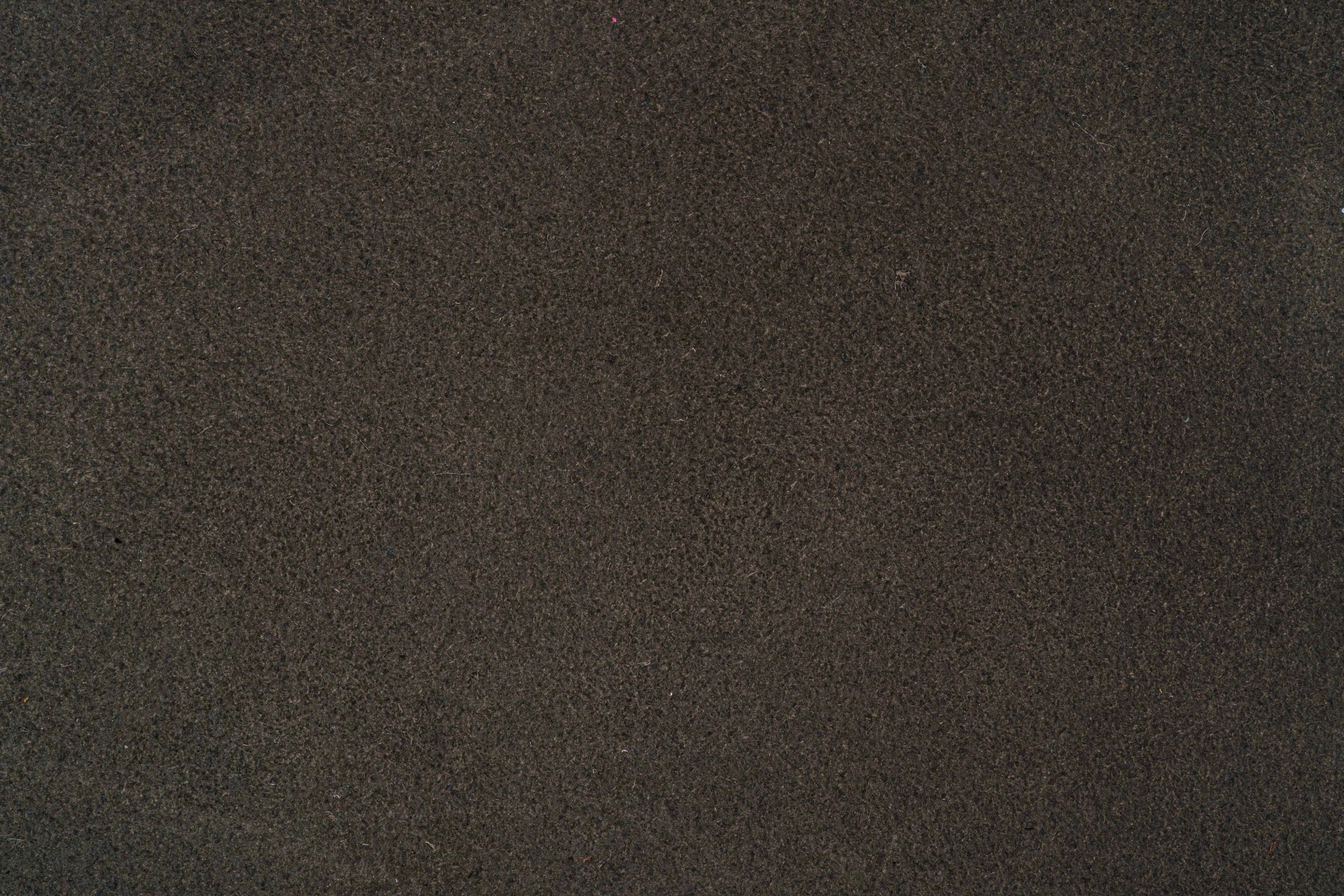 SUEDE