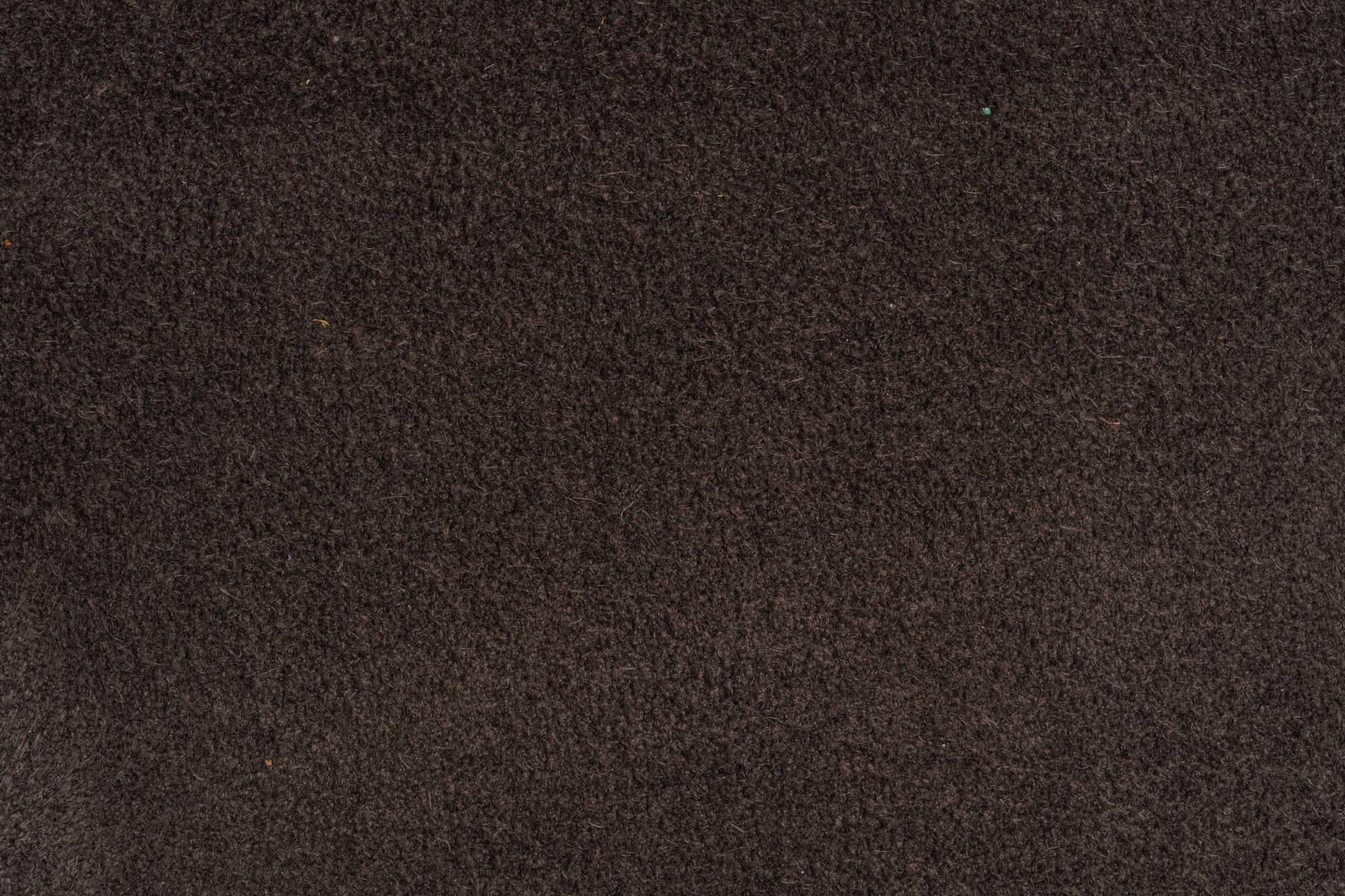 SUEDE