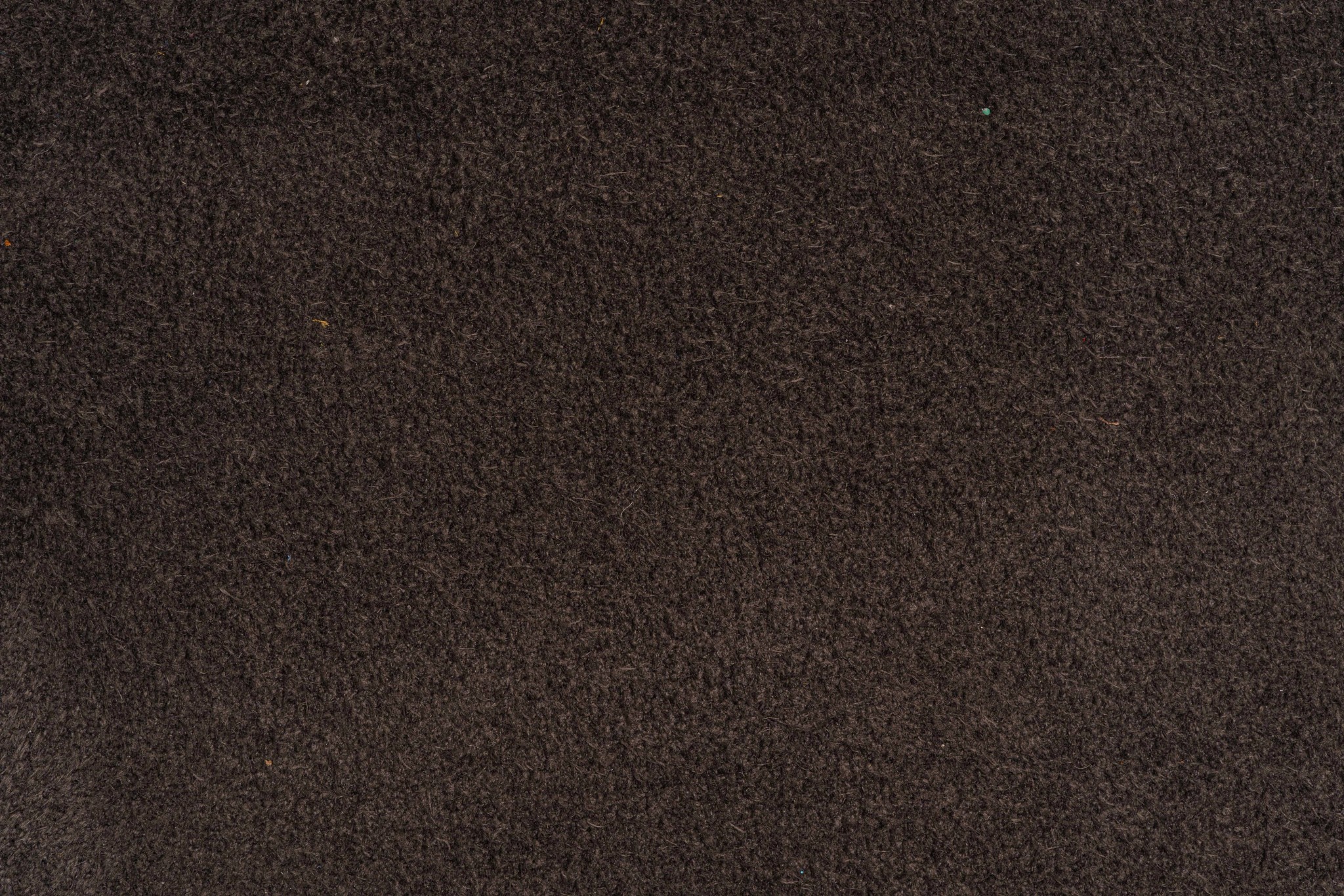 SUEDE