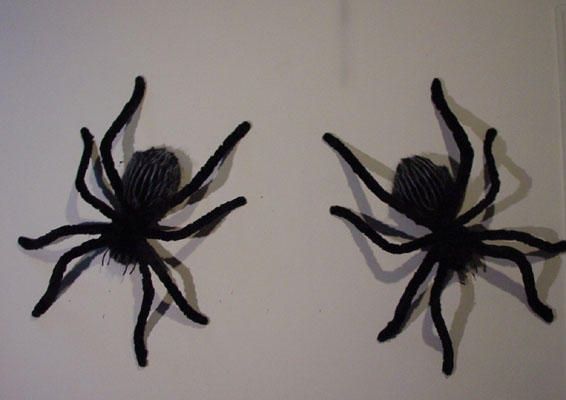 big spiders