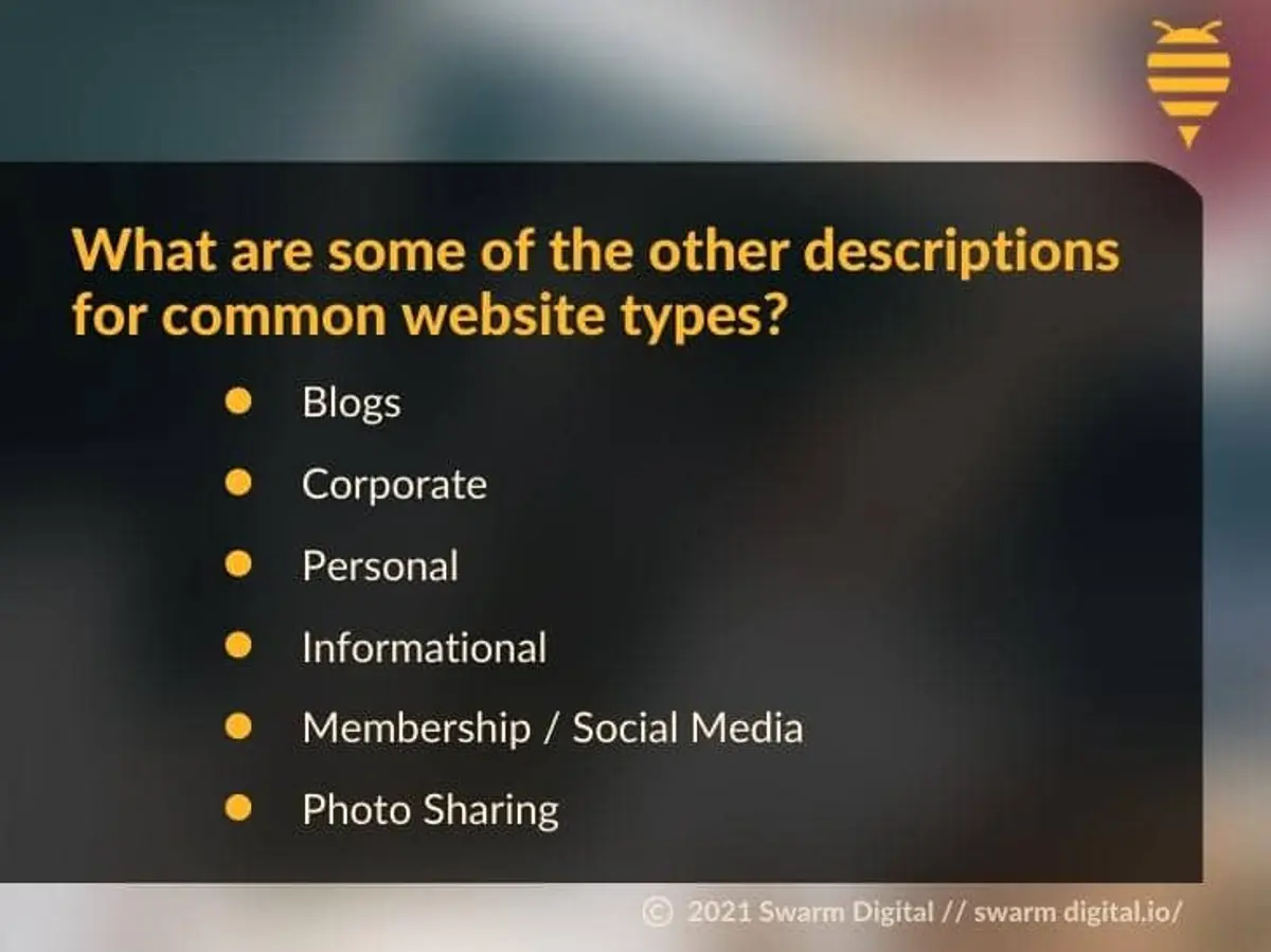 What Kind of Website Do I Need?