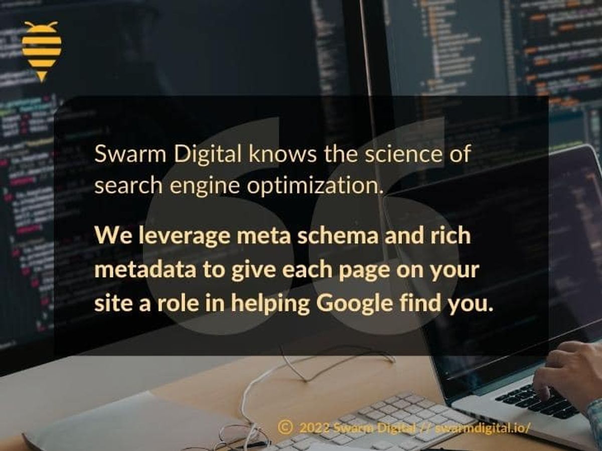 What Is Meta Schema and Rich Metadata?