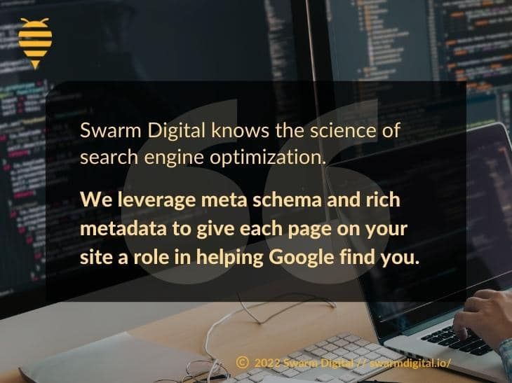 What Is Meta Schema and Rich Metadata?