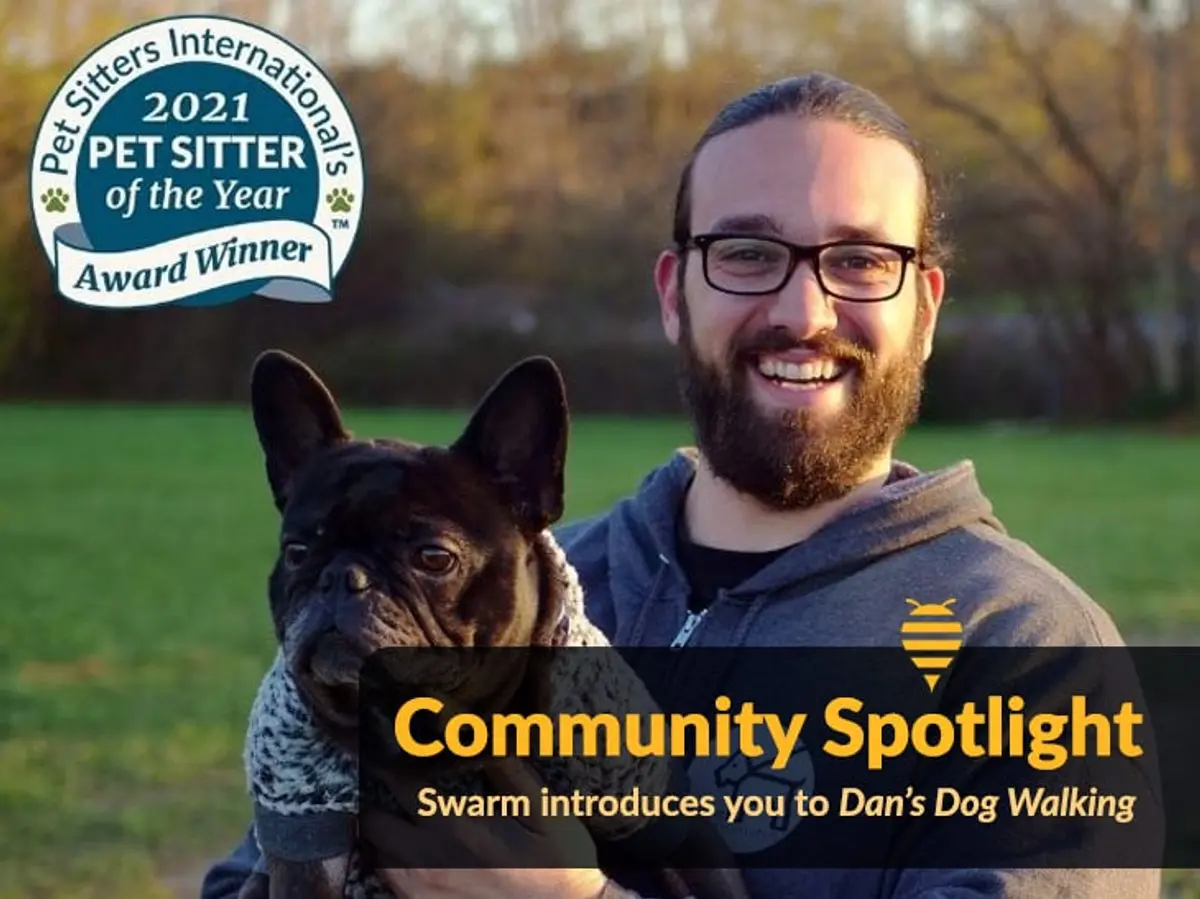 Swarm Digital Client Dan’s Dog Walking Owner Recognized as 2021 Pet Sitter of the Year