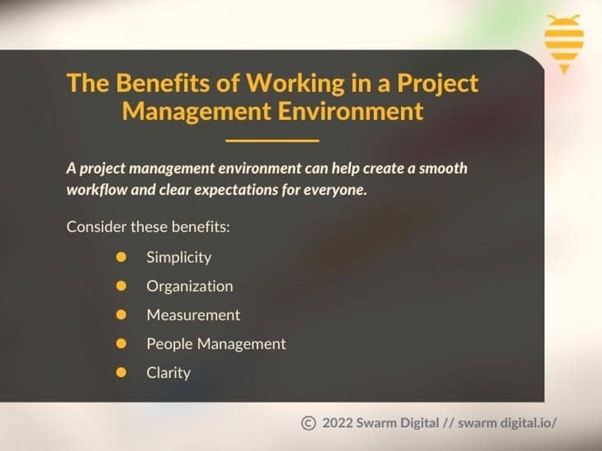 What is a Project Management Environment?