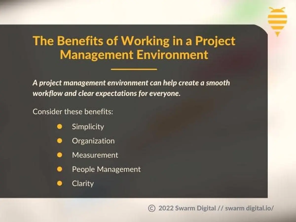 What is a Project Management Environment?